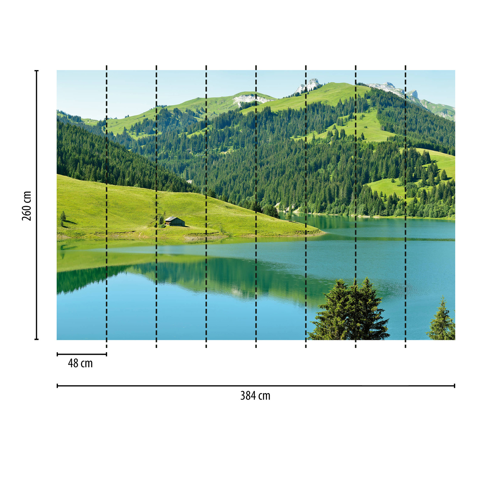             Fotomural Montaña con lago en Suiza - Verde, Azul, Gris
        