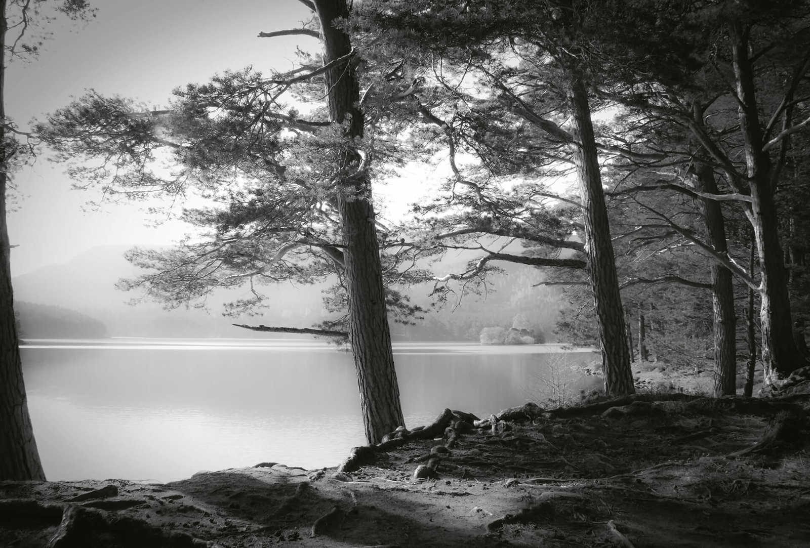 Papier peint panoramique forêt avec lac - noir, blanc, gris
