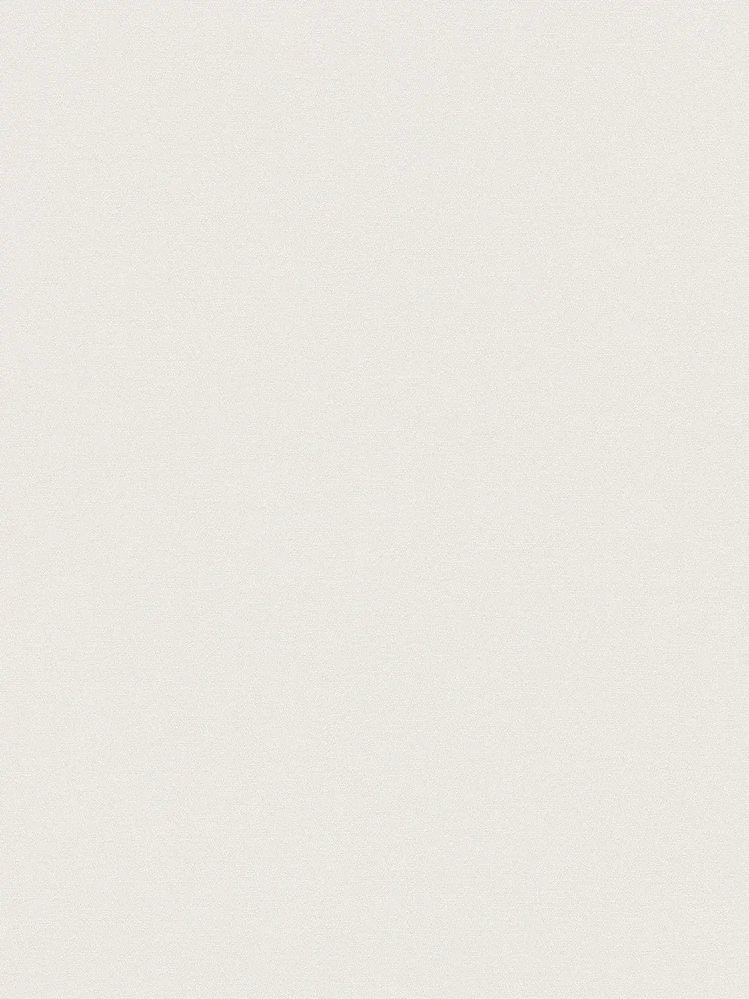 Non-woven wallpaper monochrome in light shades - white
