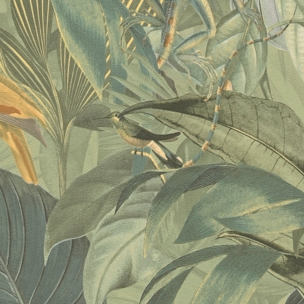             Papier peint jungle avec animaux, motif enfant - gris, vert
        
