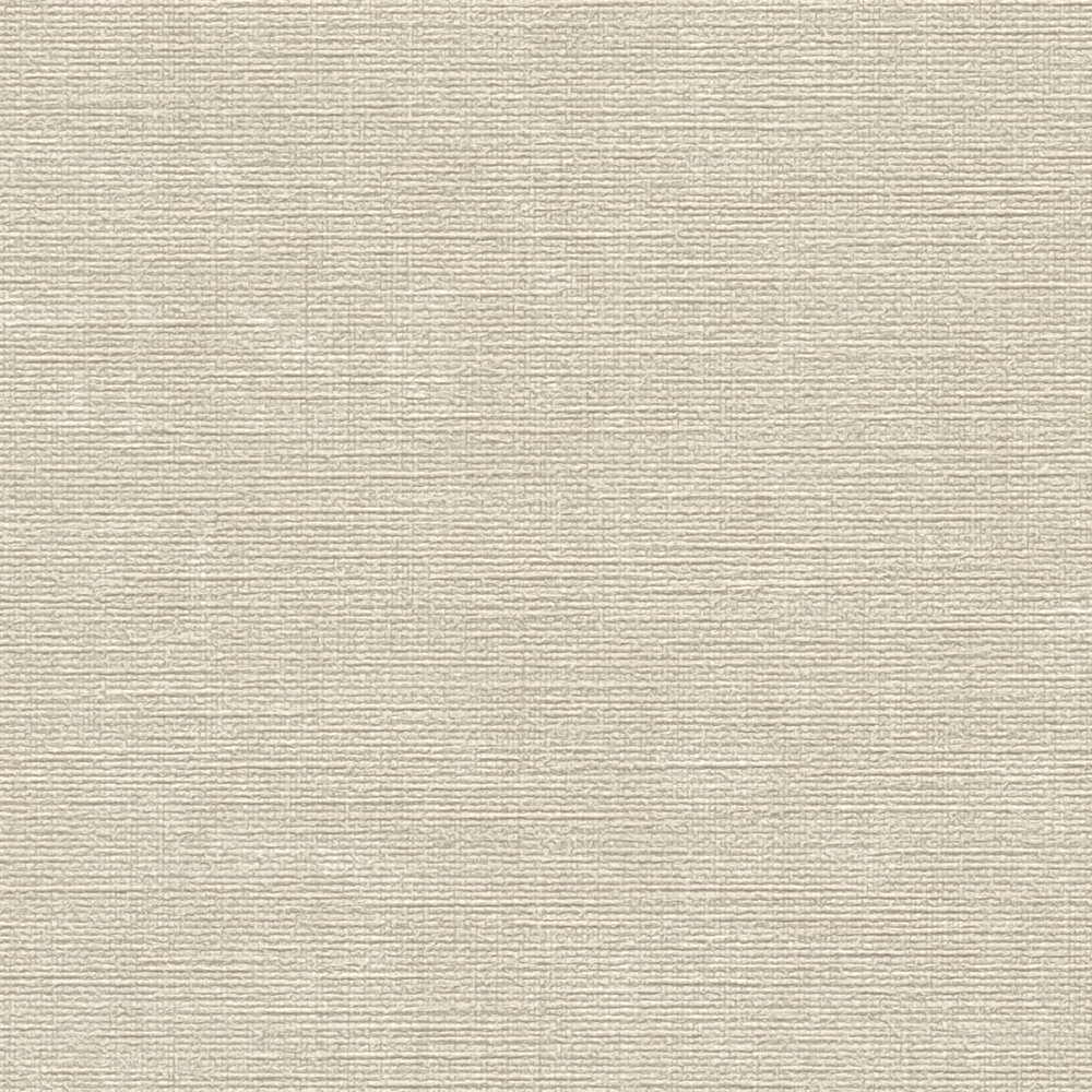             Melange wallpaper plain with structure design - grey, beige
        