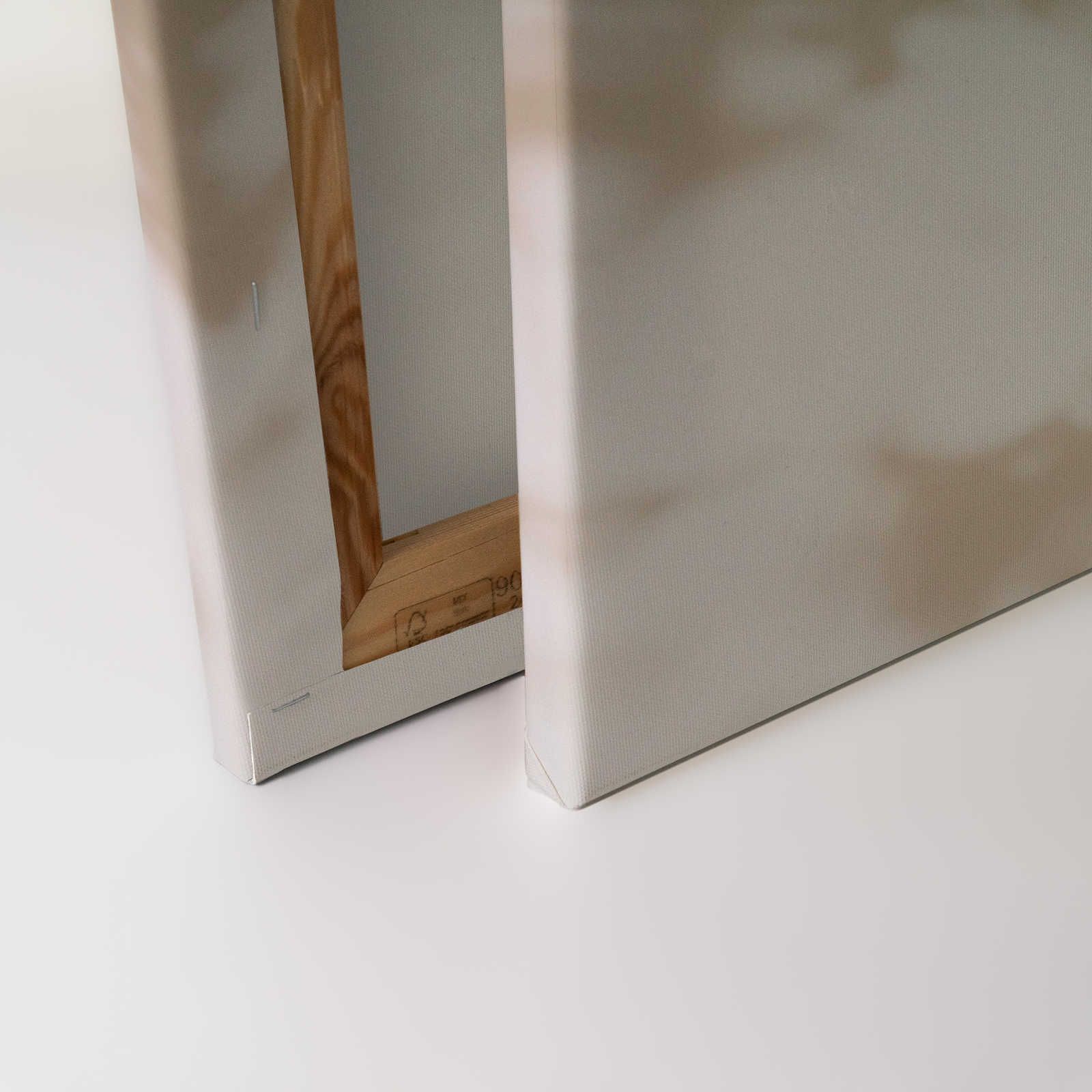             Light Room 3 - Cuadro en lienzo Sombras de la naturaleza en beige y blanco - 0,90 m x 0,60 m
        