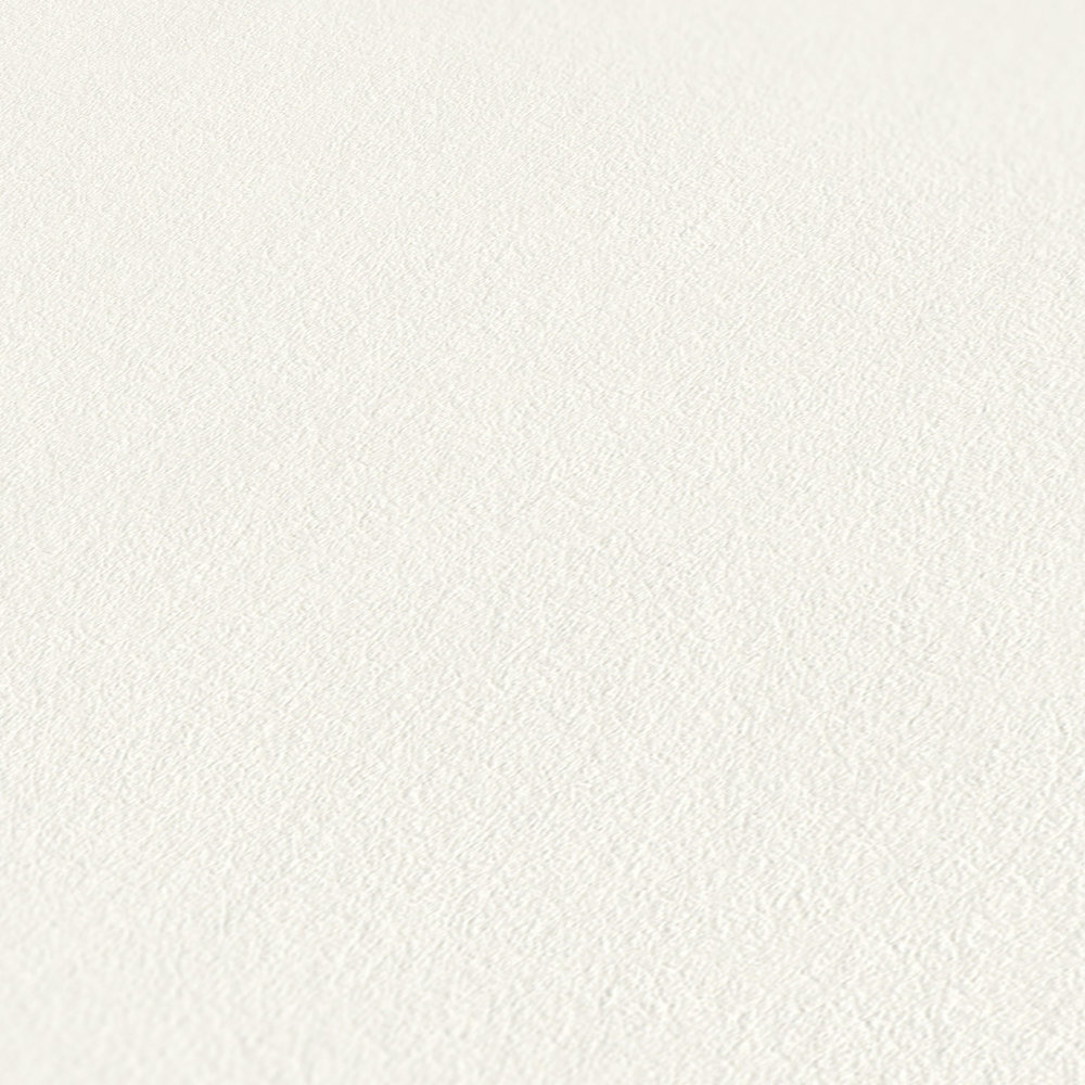            Glasvlies voorgeschilderd - glasvezelbehang met vliesstructuur - wit gepigmenteerd
        