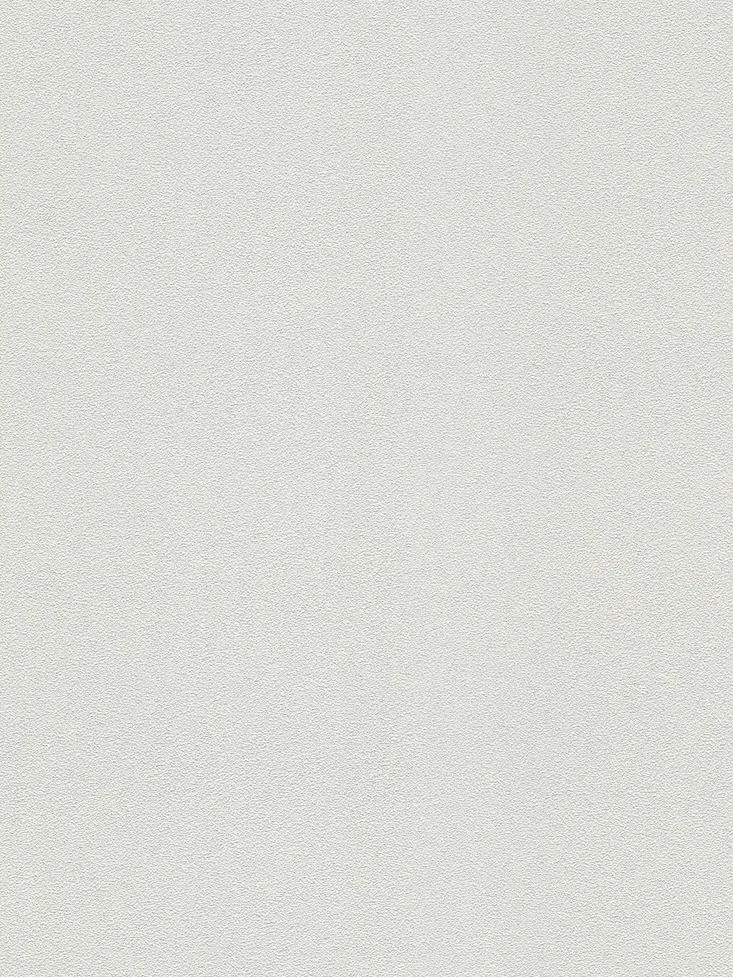 Papel pintado con estructura de fieltro plano - pintable, blanco
