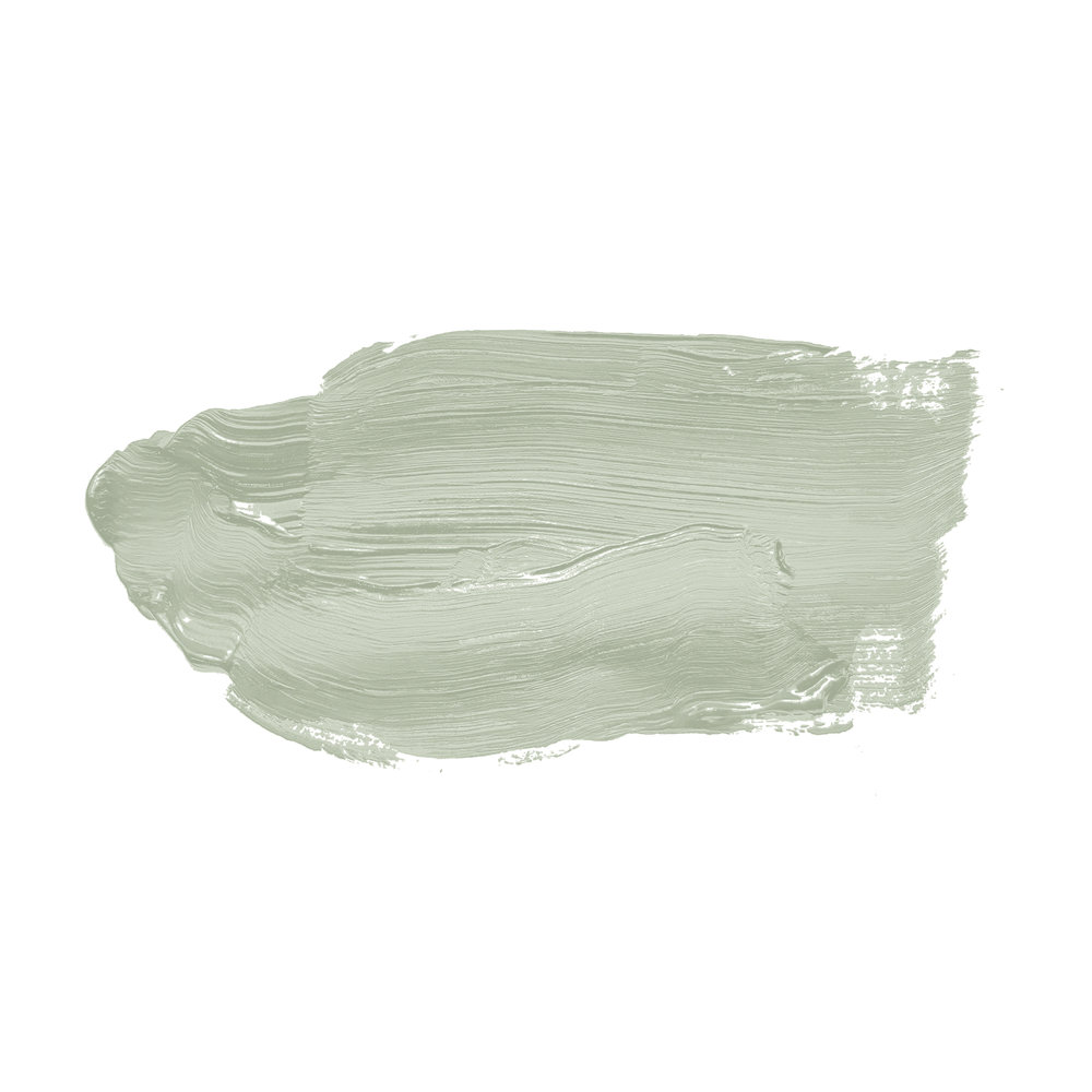             Wall Paint TCK4003 »Lovely Lime« in delicate green – 5.0 litre
        