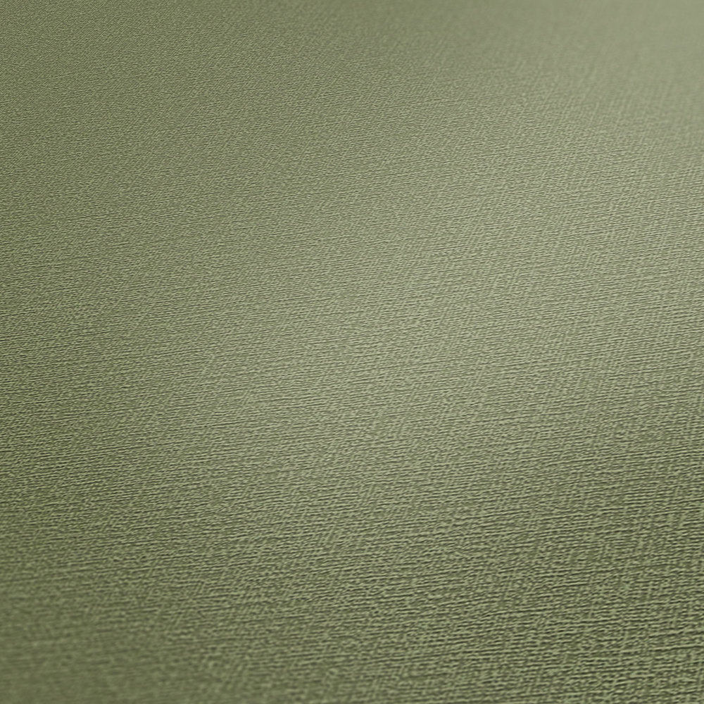             Khaki wallpaper eucalyptus green with texture pattern
        