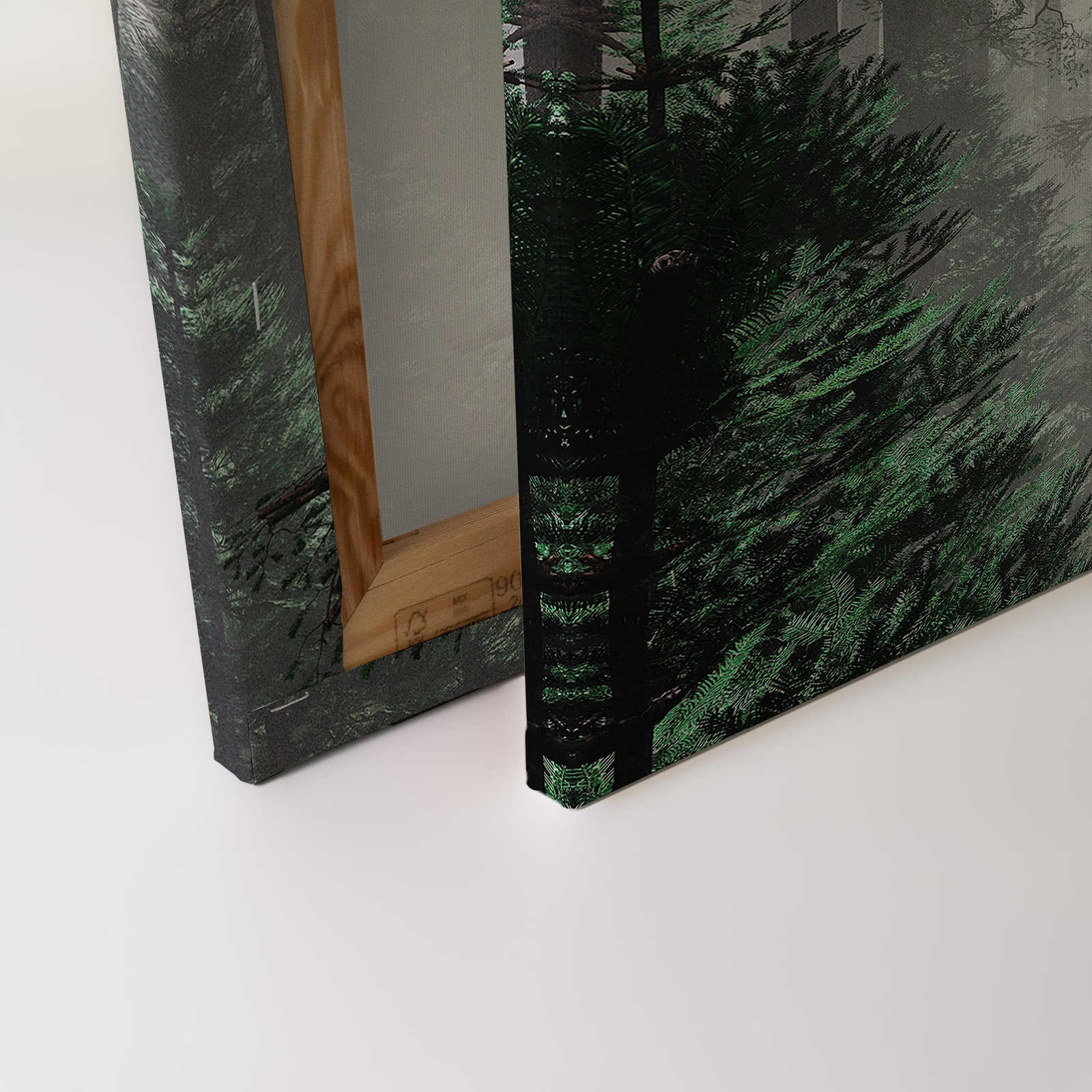             Canvas painting Forest in the mist with big trees - 0,90 m x 0,60 m
        