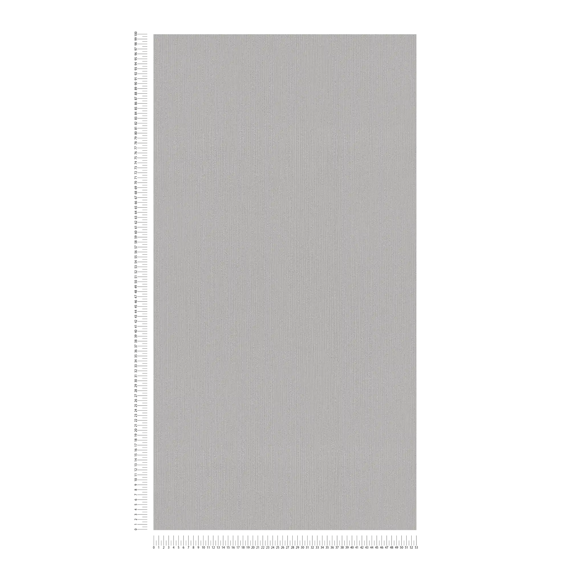             Carta da parati strutturata grigio chiaro con motivo a trama tono su tono, grigio satinato
        