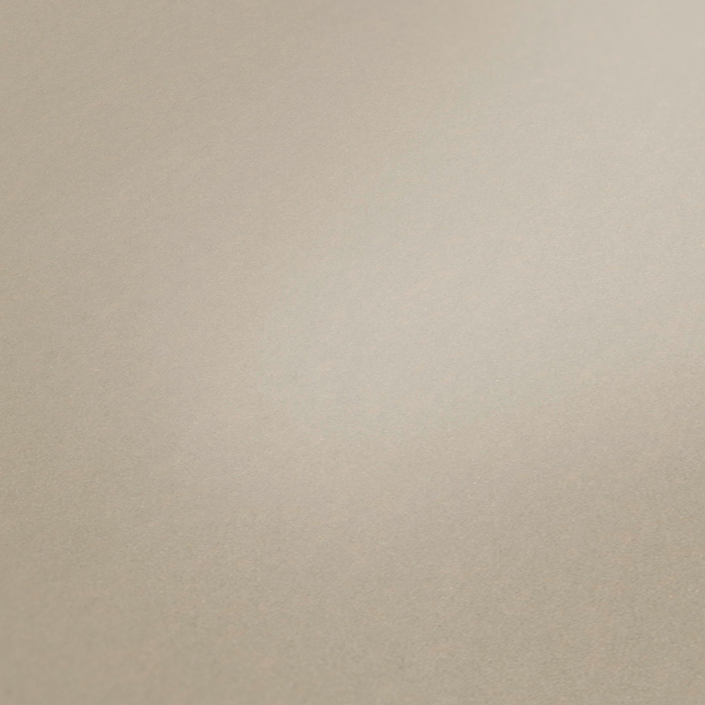             Plain wallpaper taupe matte finish - grey
        