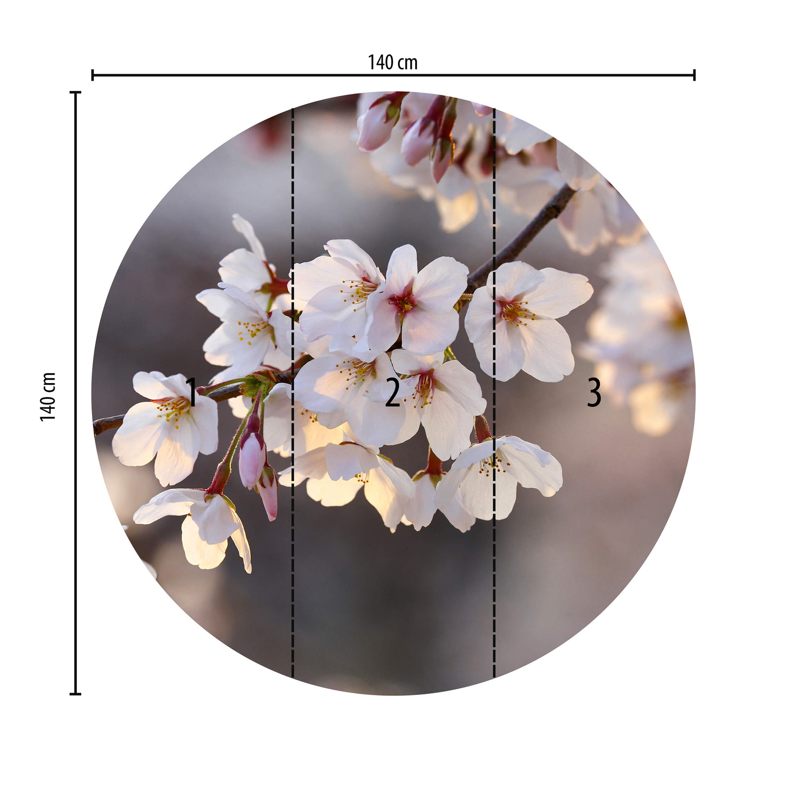             Round photo wallpaper cherry blossoms in pink & white
        