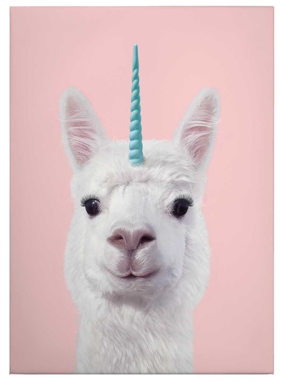             Canvas print alpaca unicorn by Fuentes – pink, white
        