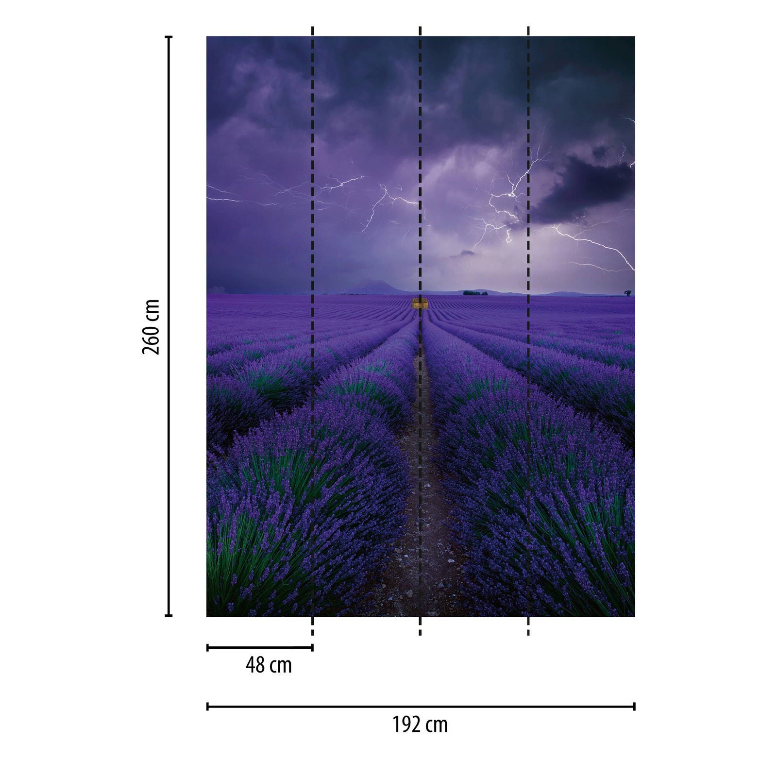             Photo wallpaper Field with lavender - purple, green, brown
        
