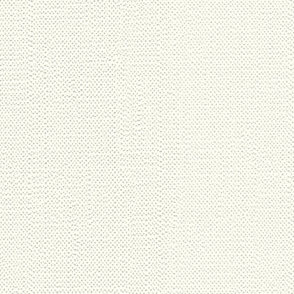             Papel pintado no tejido blanco liso mate con estructura de espuma
        