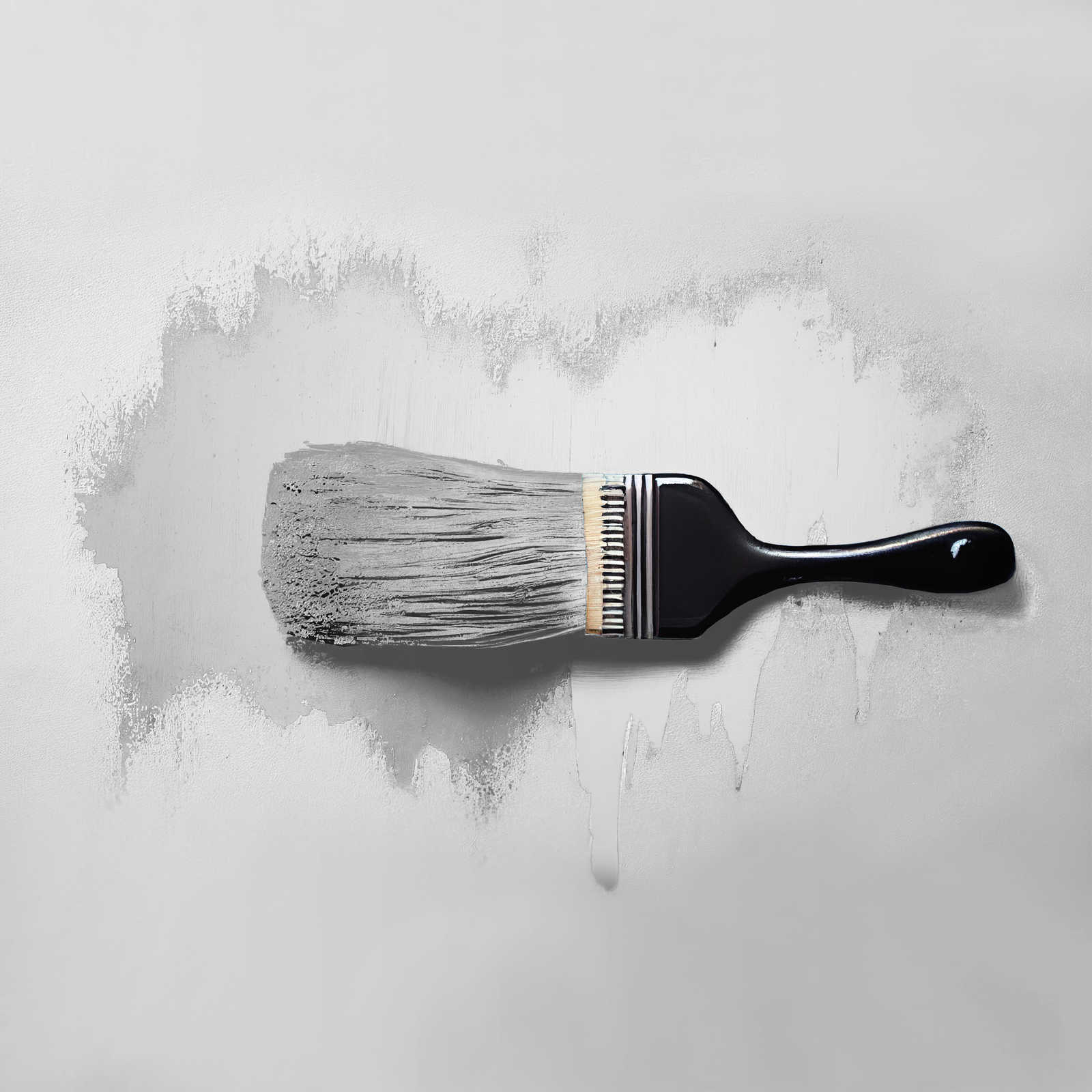            Pittura murale TCK1002 »Asian Noodles« in grigio chiaro armonizzante – 2,5 litri
        
