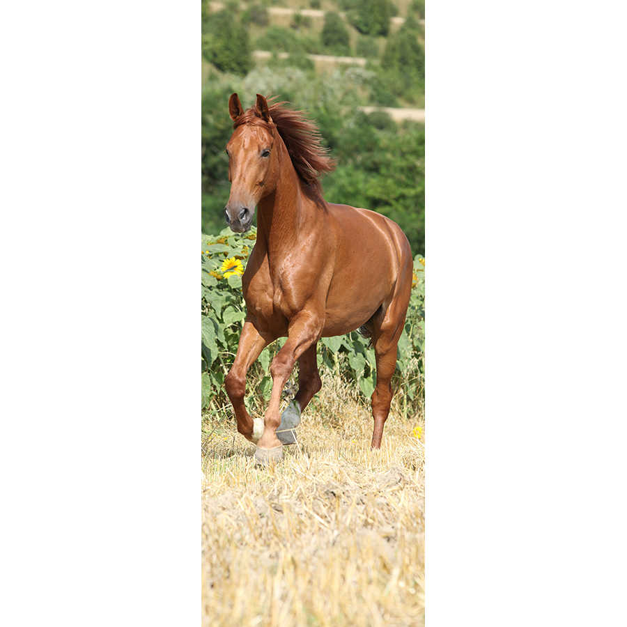 Dierenbehang Galopperend paard op parelmoer glad vlies
