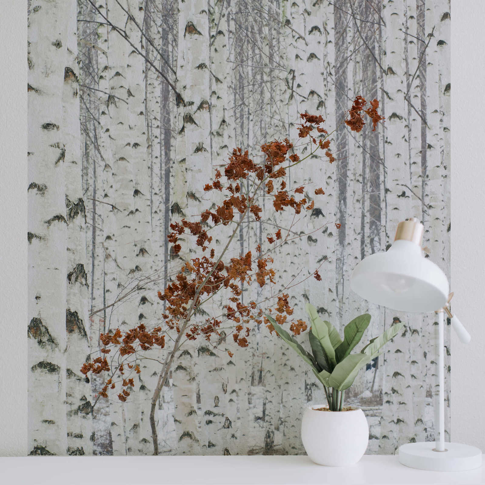             Papier peint panoramique forêt de bouleaux - blanc, gris, marron
        