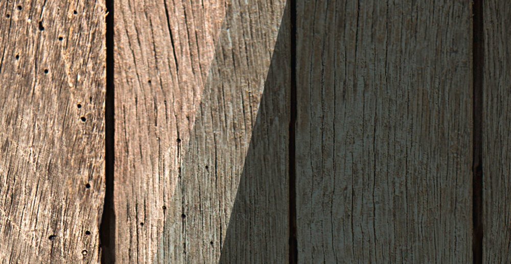             Nacido para ser salvaje 3 - Mural Gorila sobre tabla - Paneles de madera de ancho - Beige, Marrón | Vellón liso de primera calidad
        
