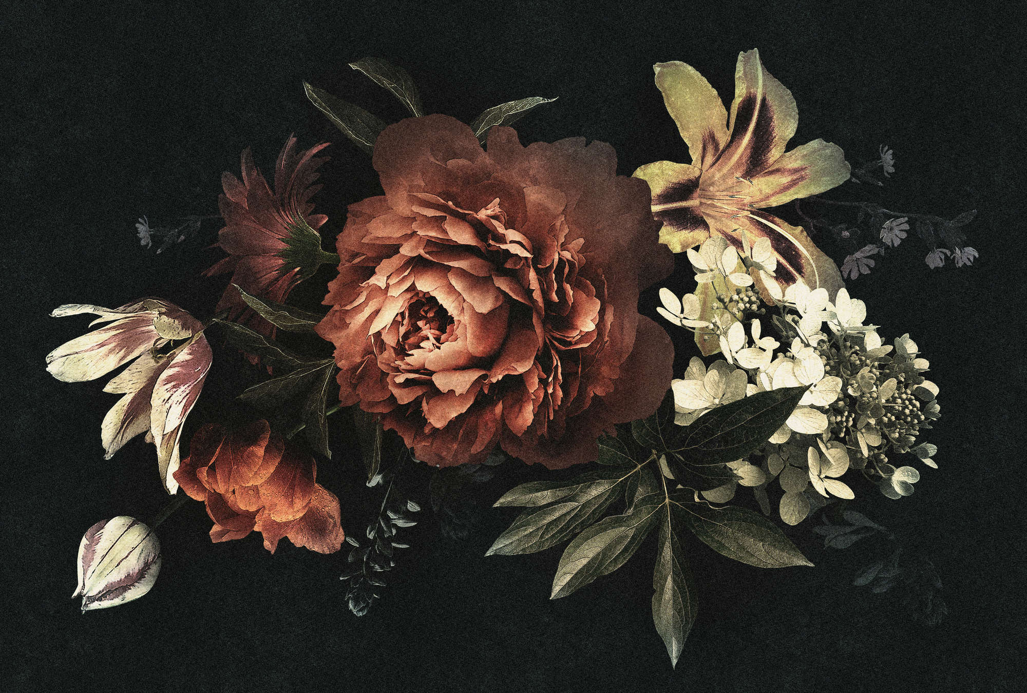             Drama queen 1 - Bouquet di fiori murale con sfondo scuro in struttura di cartone - Rosso, Nero | Natura qualita consistenza in tessuto non tessuto
        