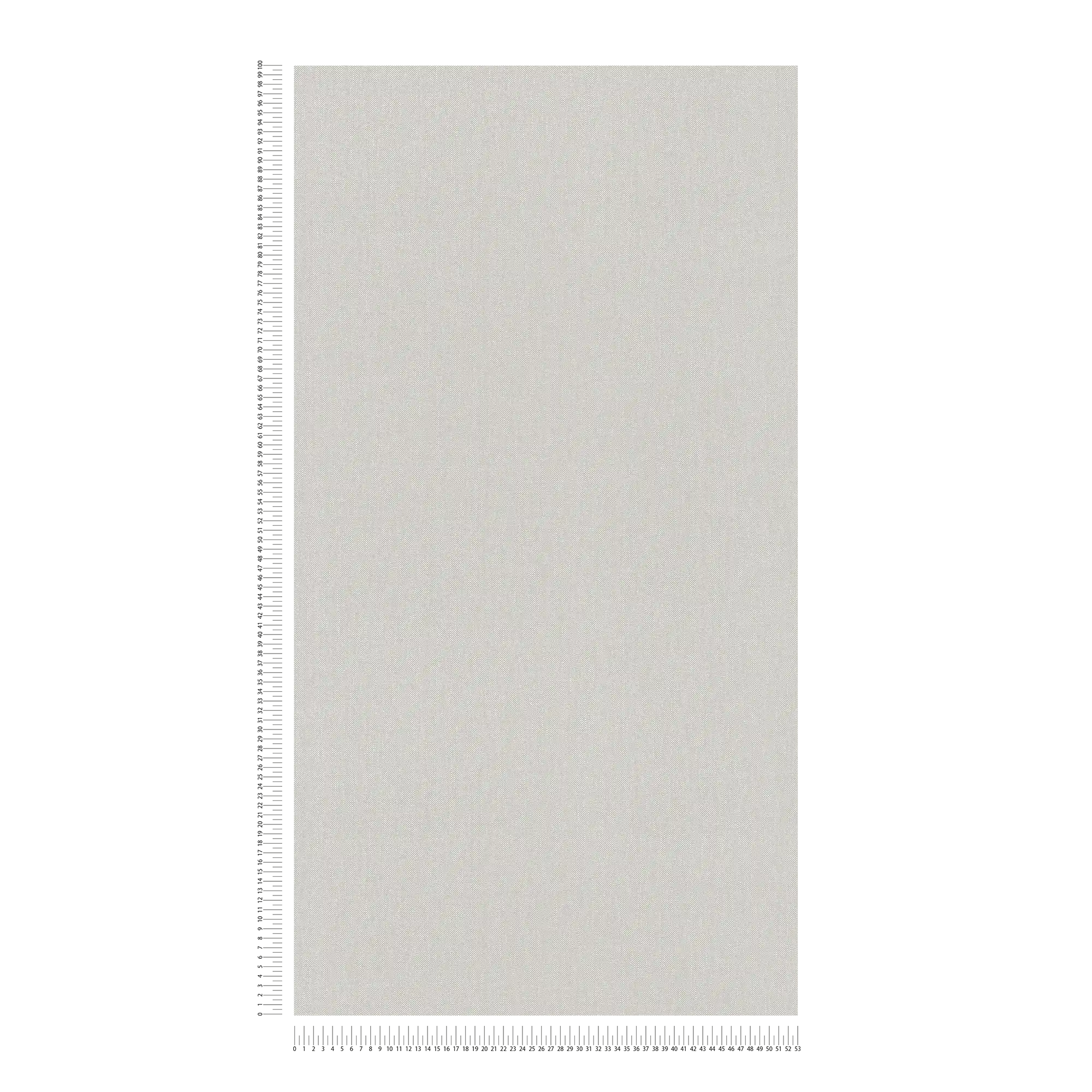             Papier peint aspect lin Beige avec motif textile texturé
        