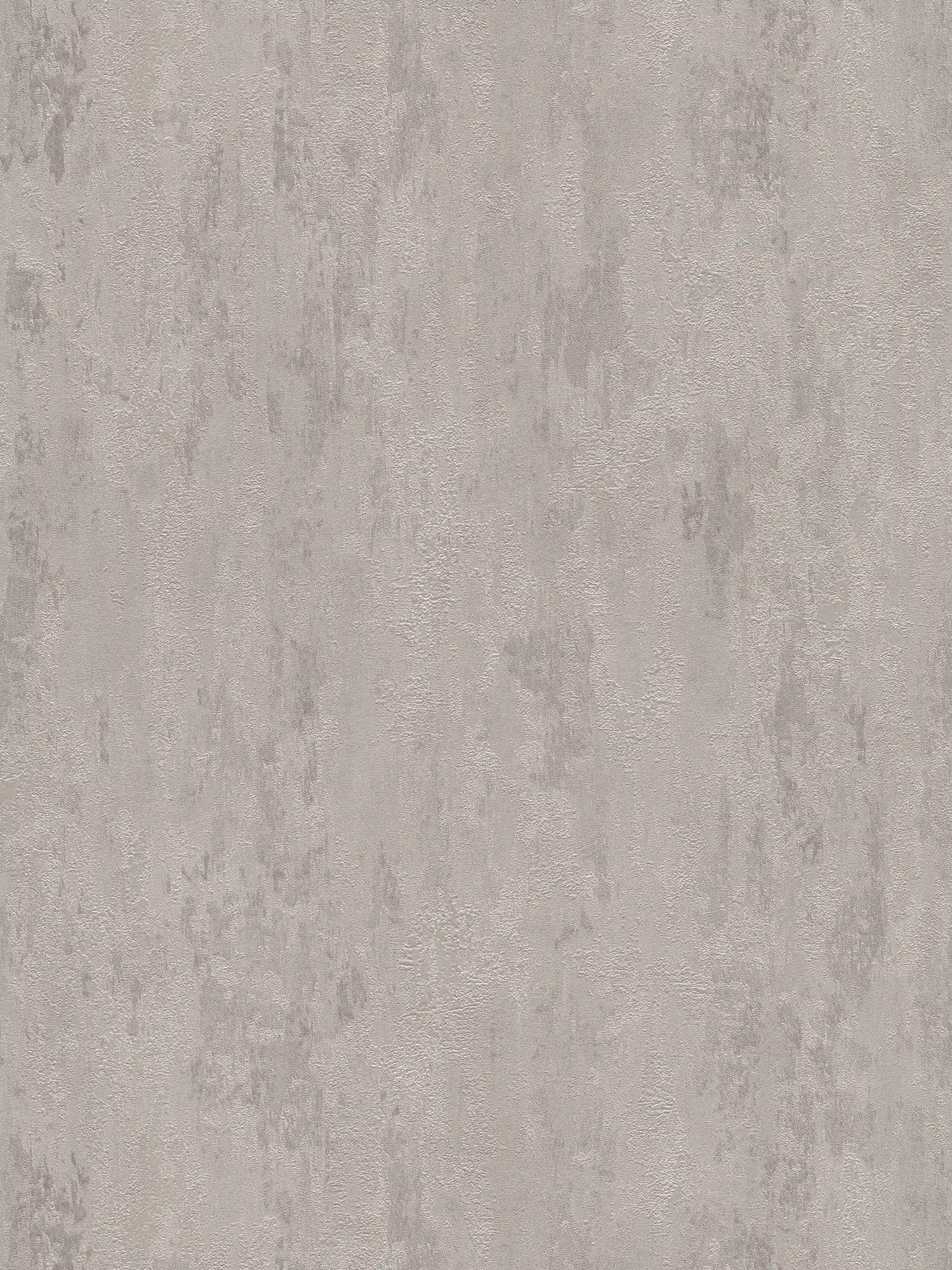 Wallpaper industrial style with texture effect - cream, grey, metallic
