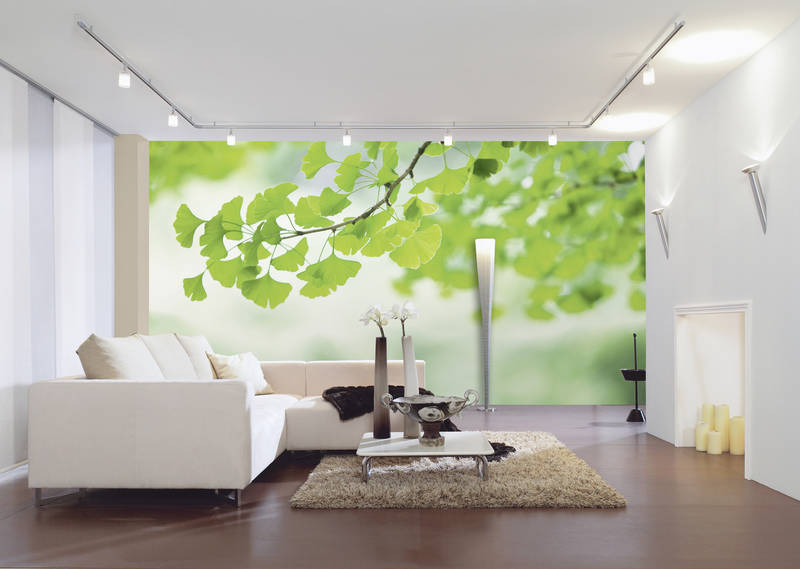             Plants photo wallpaper ginkgo leaves on premium smooth non-woven
        