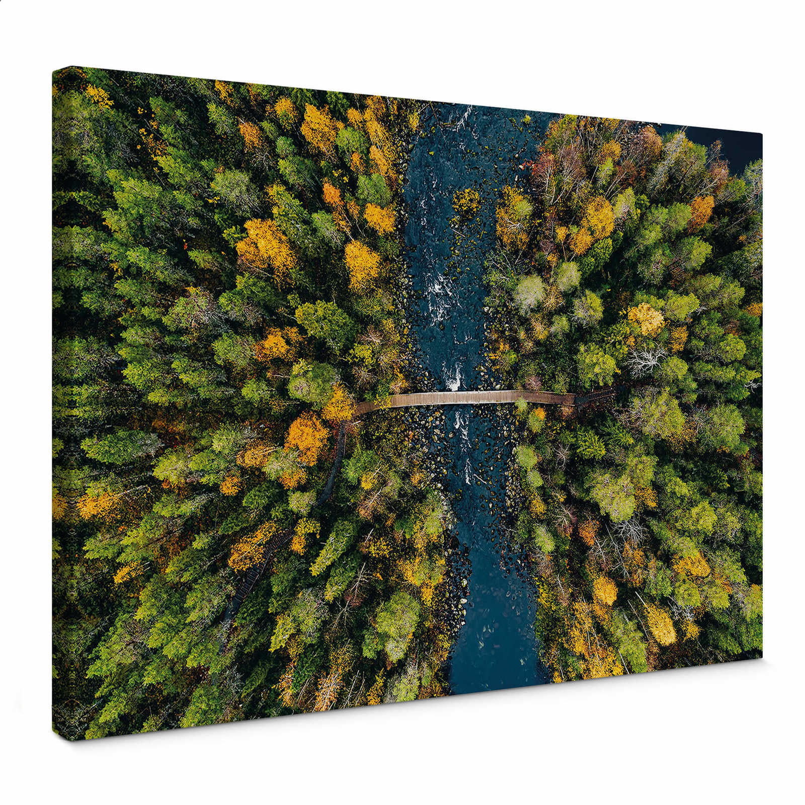         Landscape canvas print forest in Finland – green
    
