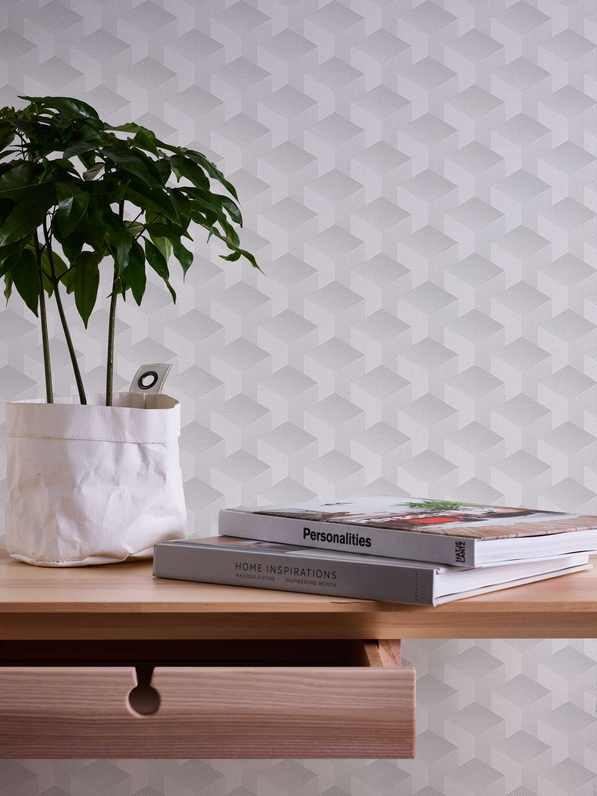             Geometric 3D wallpaper with graphic pattern matt - grey
        