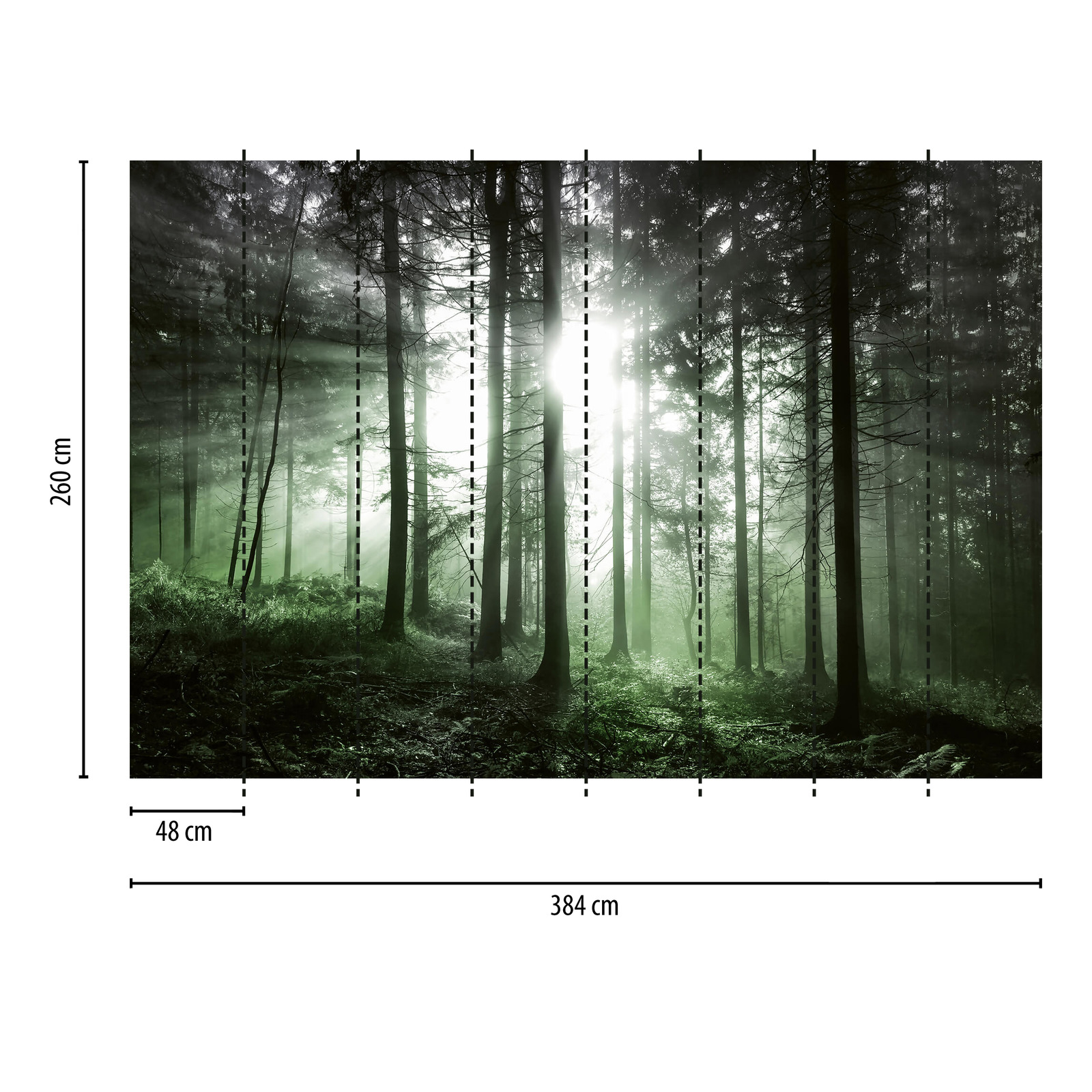             Photo wallpaper forest with light incidence - green, black, white
        