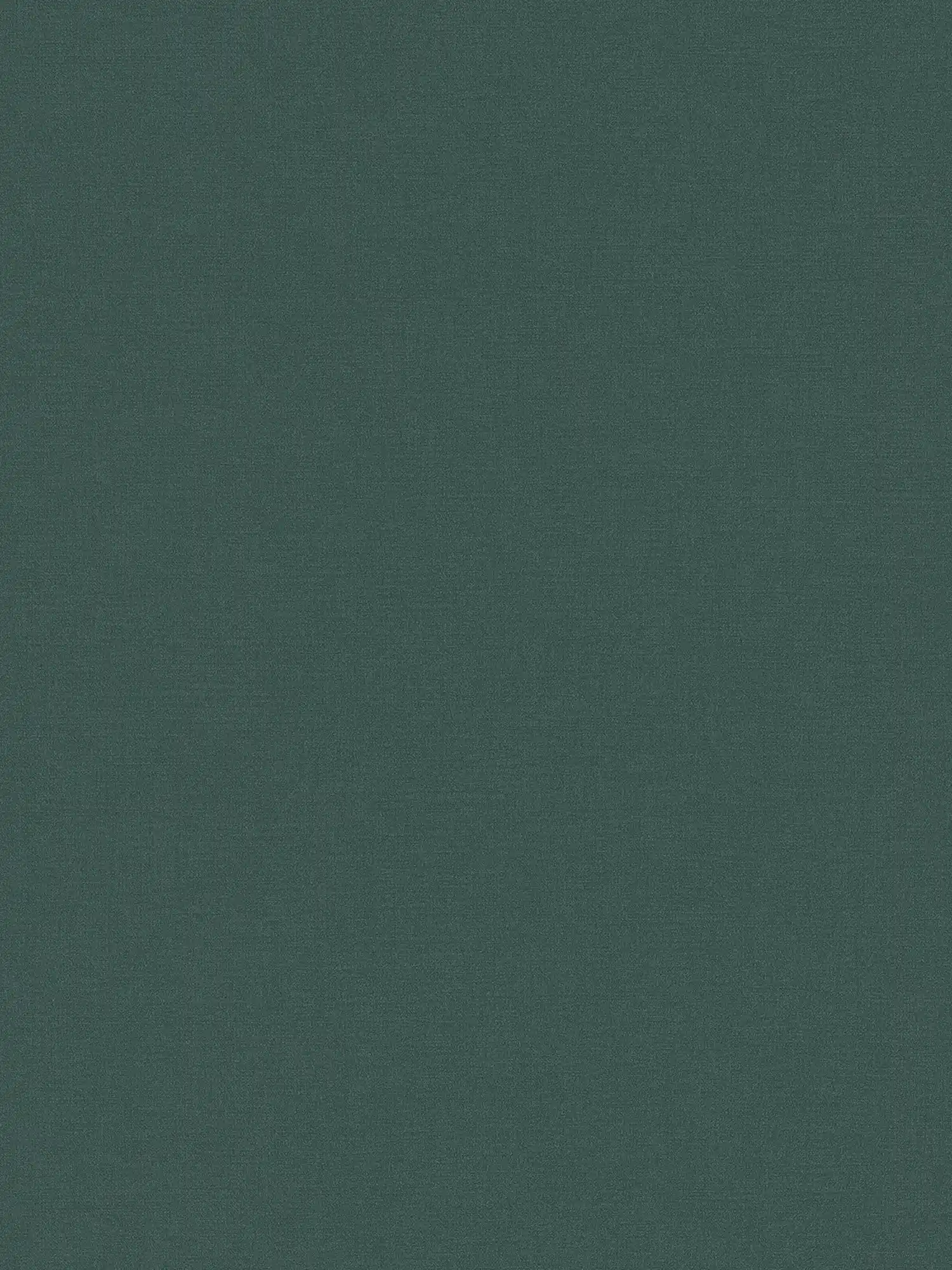 Plain plain wallpaper in dark colour - petrol, green
