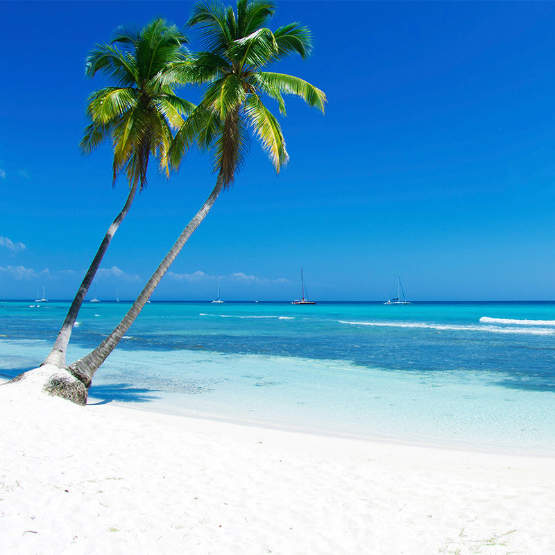 Photo wallpaper sandy beach in white with palm tree - Matt smooth fleece
