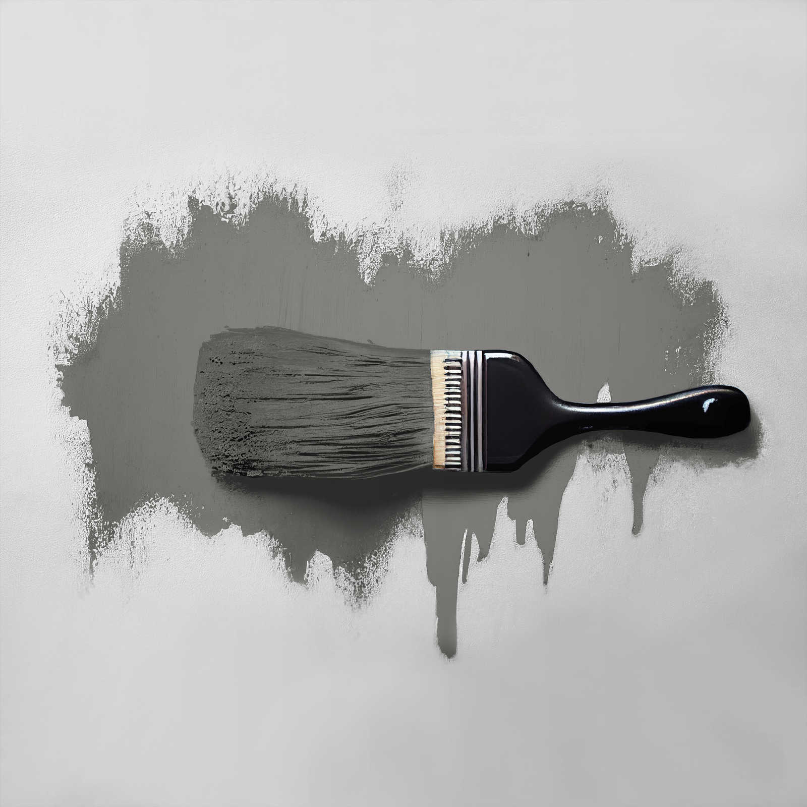             Peinture murale TCK1013 »Poised Pepper« en gris foncé – 2,5 litres
        