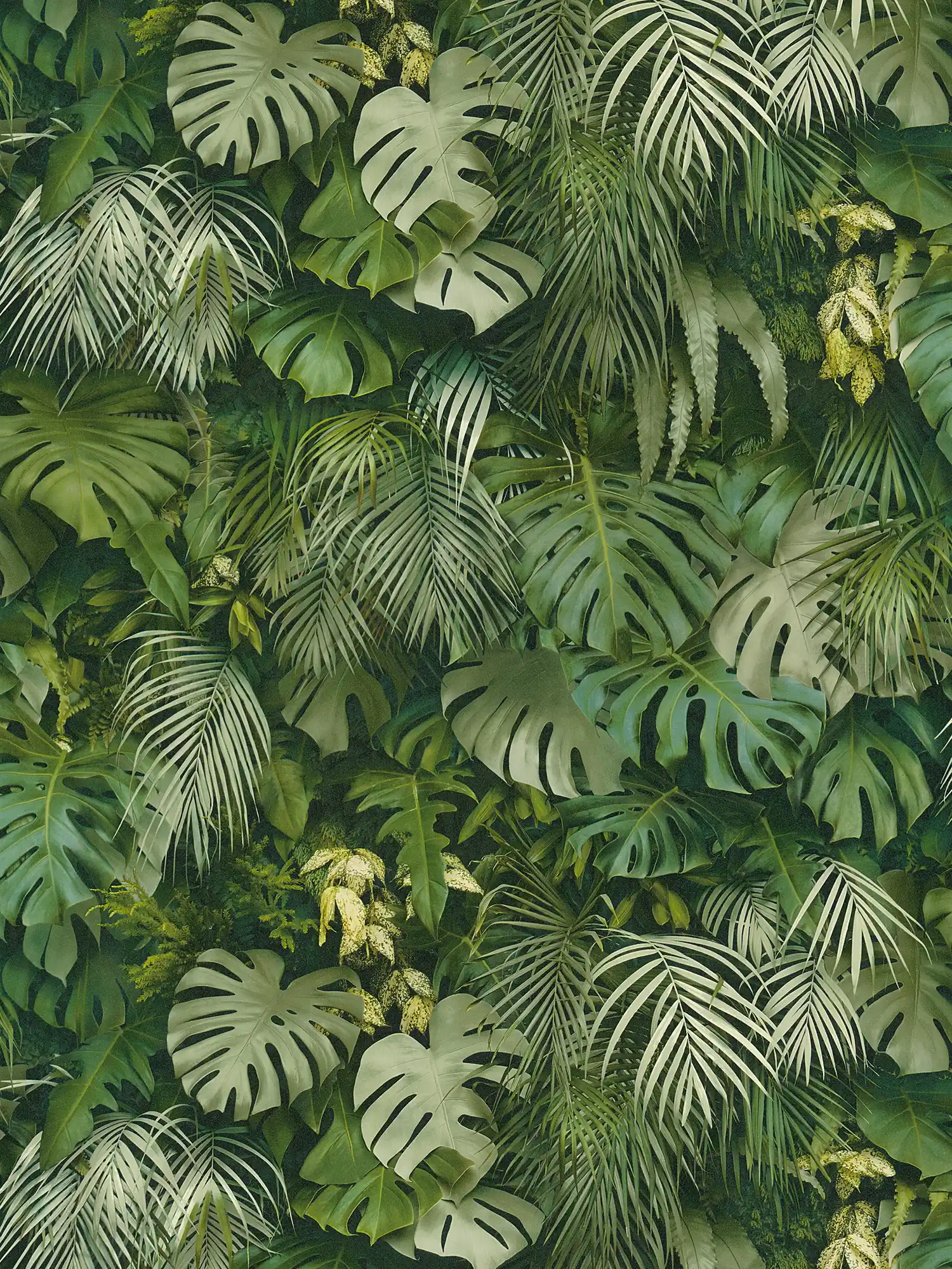 Behang groen blad bos, realistisch, kleuraccenten - groen
