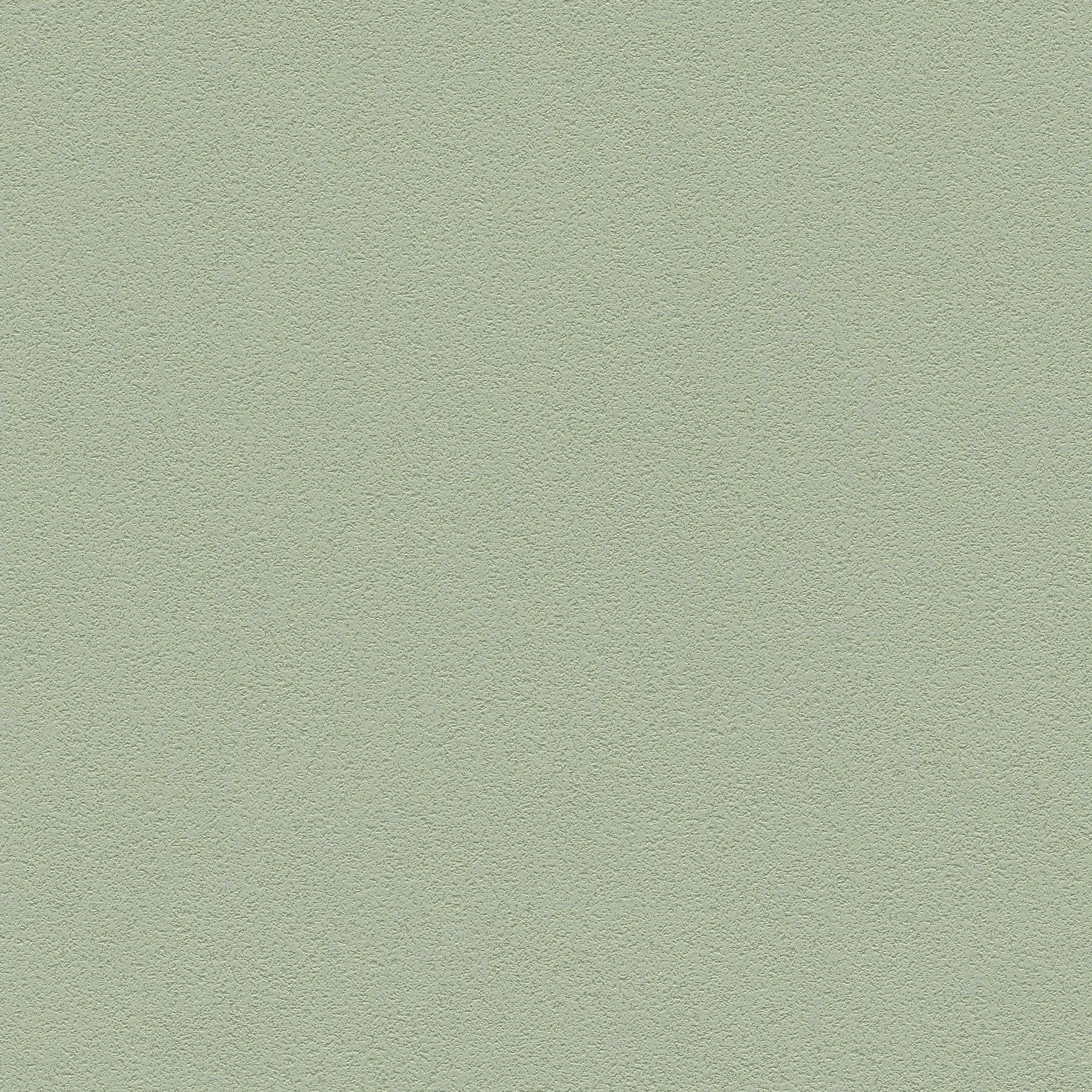 Papier peint uni avec structure de surface fine - vert
