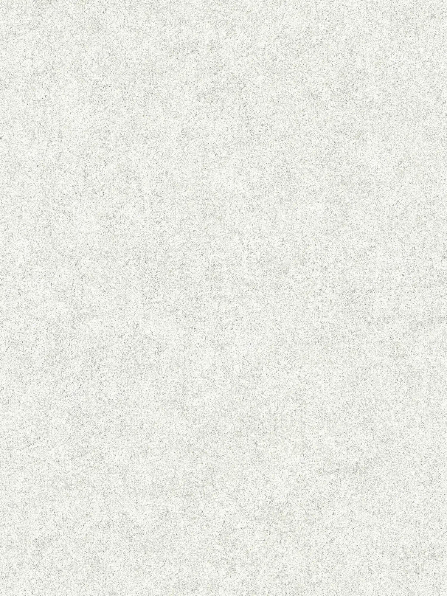 Carta da parati in gesso ottico beige grigio screziato con struttura in rilievo
