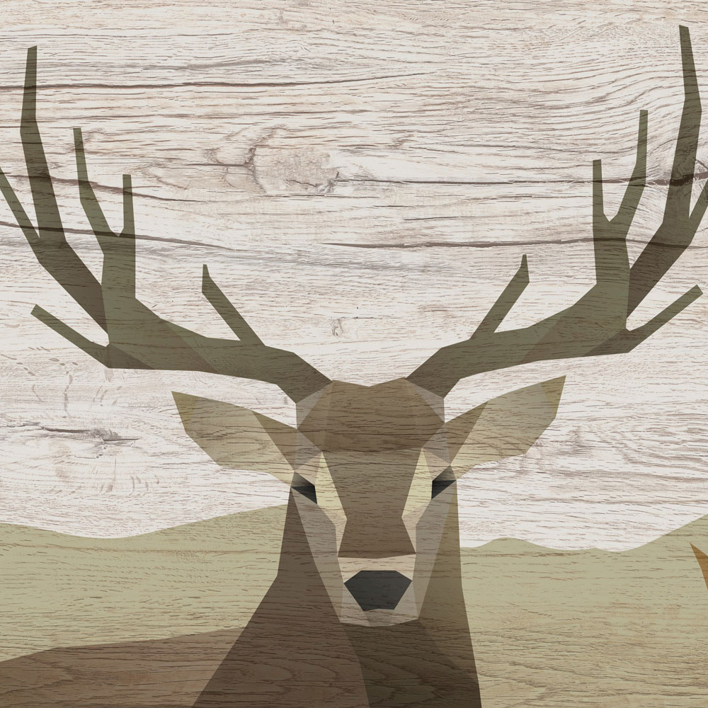             Yukon 2 - Carta da parati con venature del legno, disegno Cervo e Capriolo
        