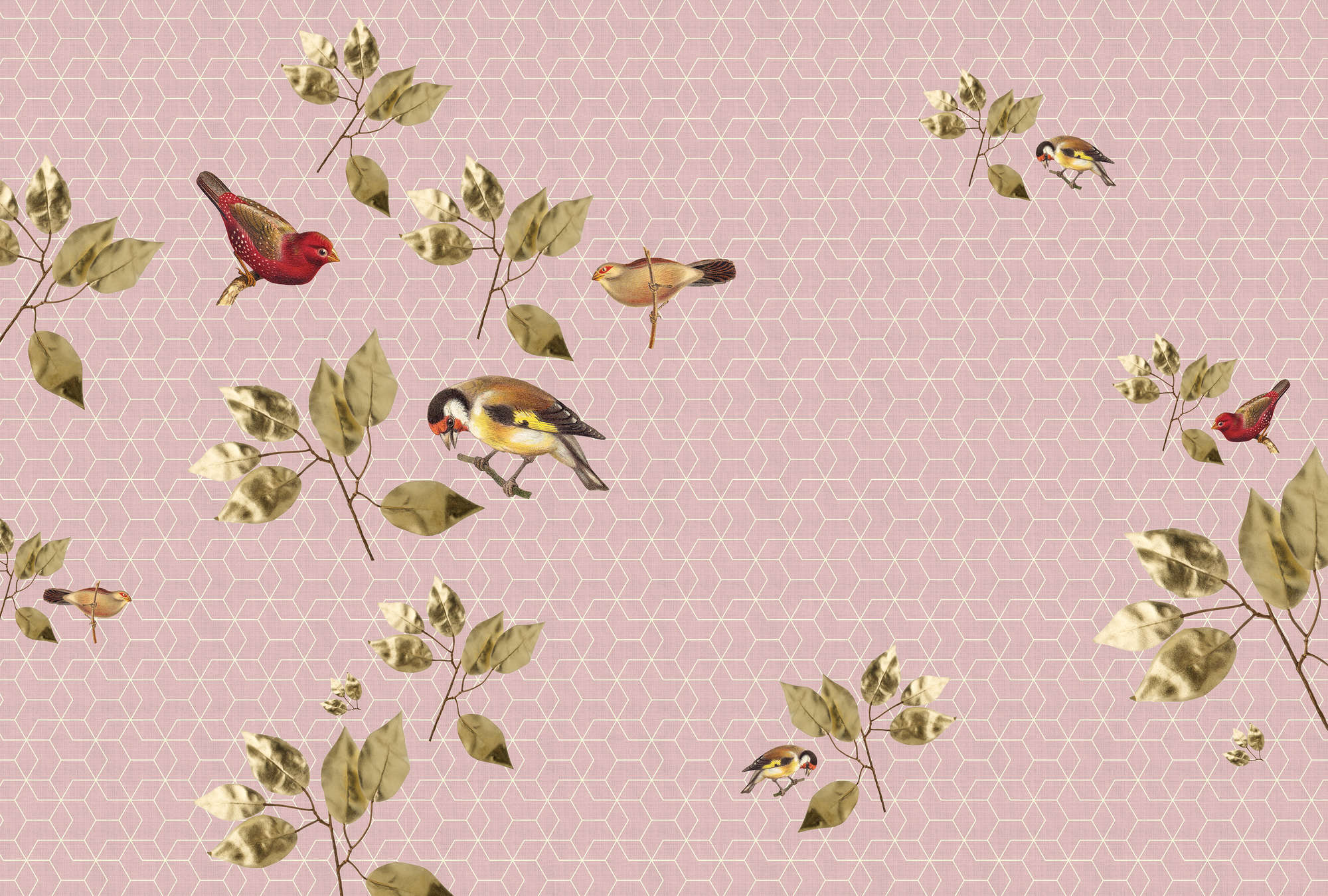             Brilliant Birds 1 - Geometrisch behang met vogel- en bladmotief - Groen, Roze | Matglanzend Niet-geweven
        