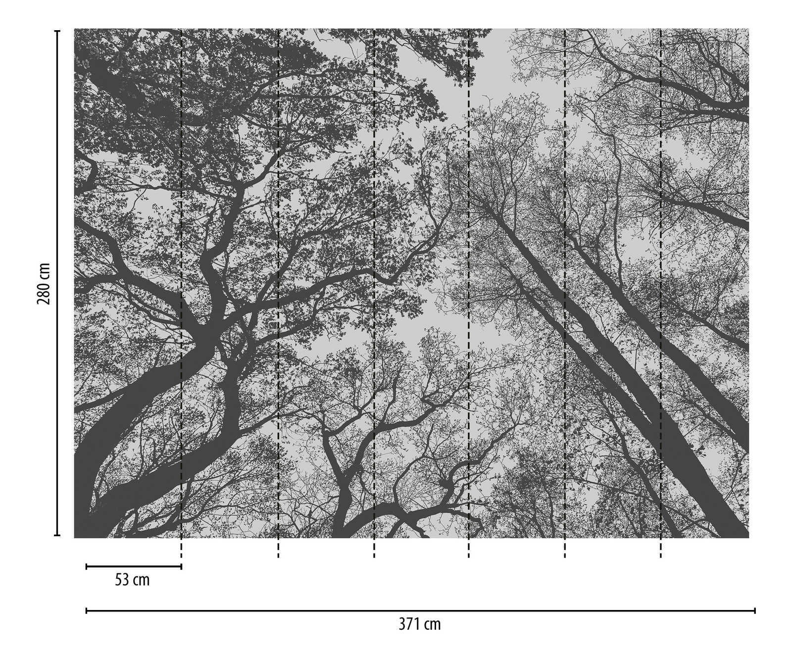             behang nieuwigheid - motief behang boomtoppen zwart & grijs
        