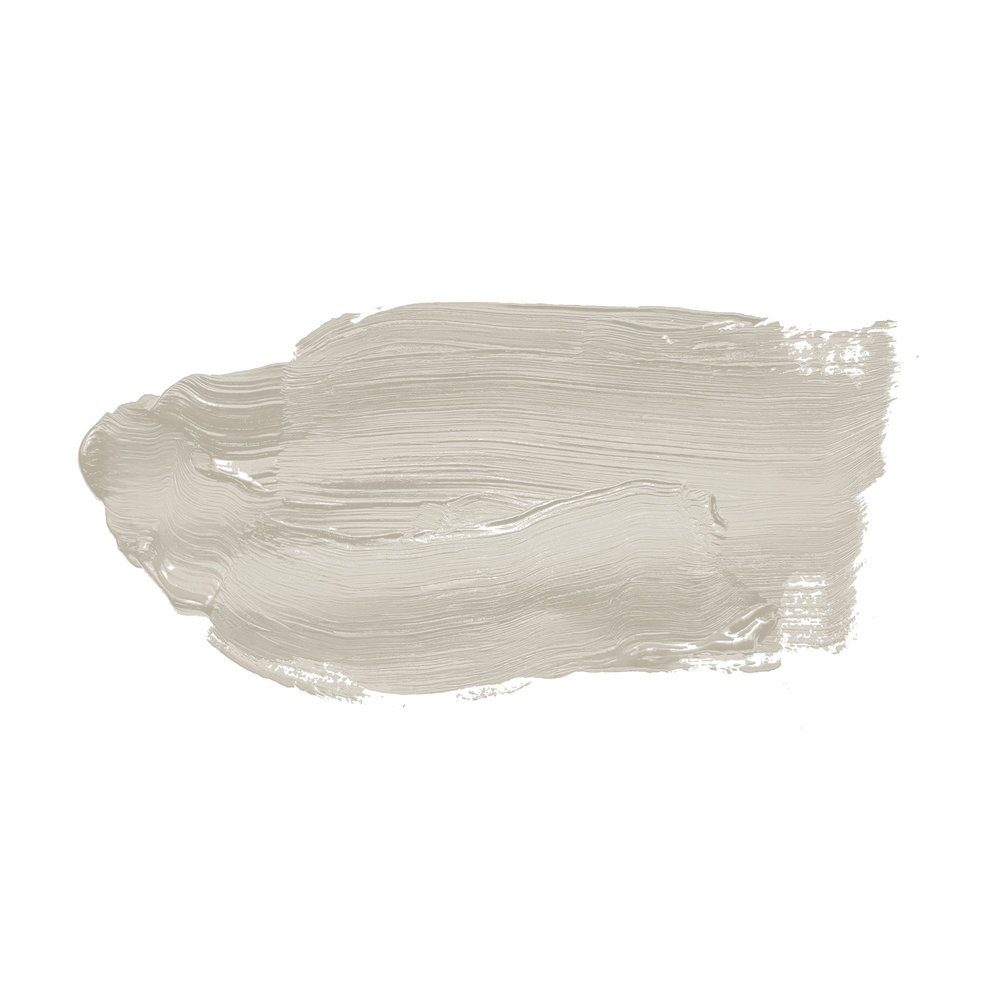             Wall Paint TCK1016 »Opened Oyster« in soft grey – 2.5 litre
        