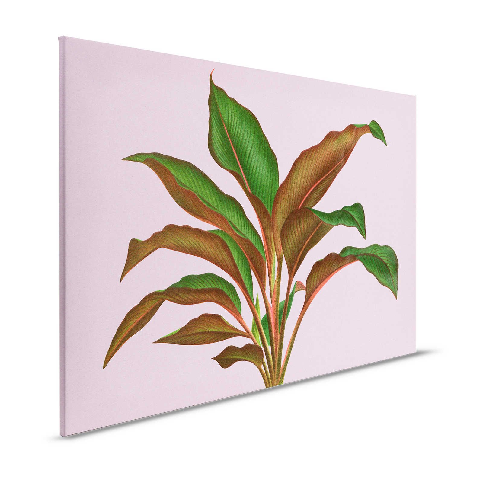 Leaf Garden 3 - Leaves Canvas painting Pink with tropical fern leaf - 1.20 m x 0.80 m
