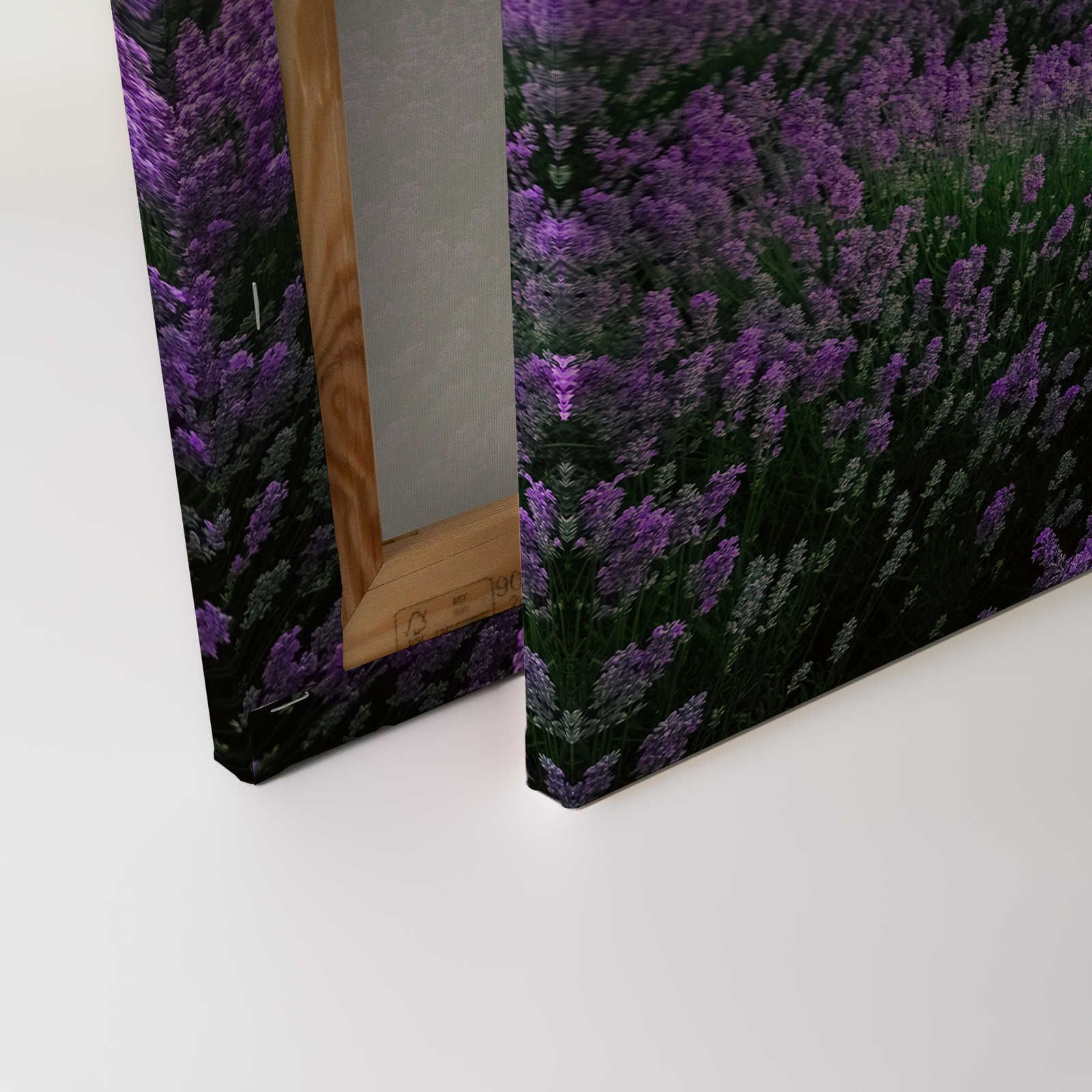             Canvas painting Lavender Field at Sunset - 0,90 m x 0,60 m
        