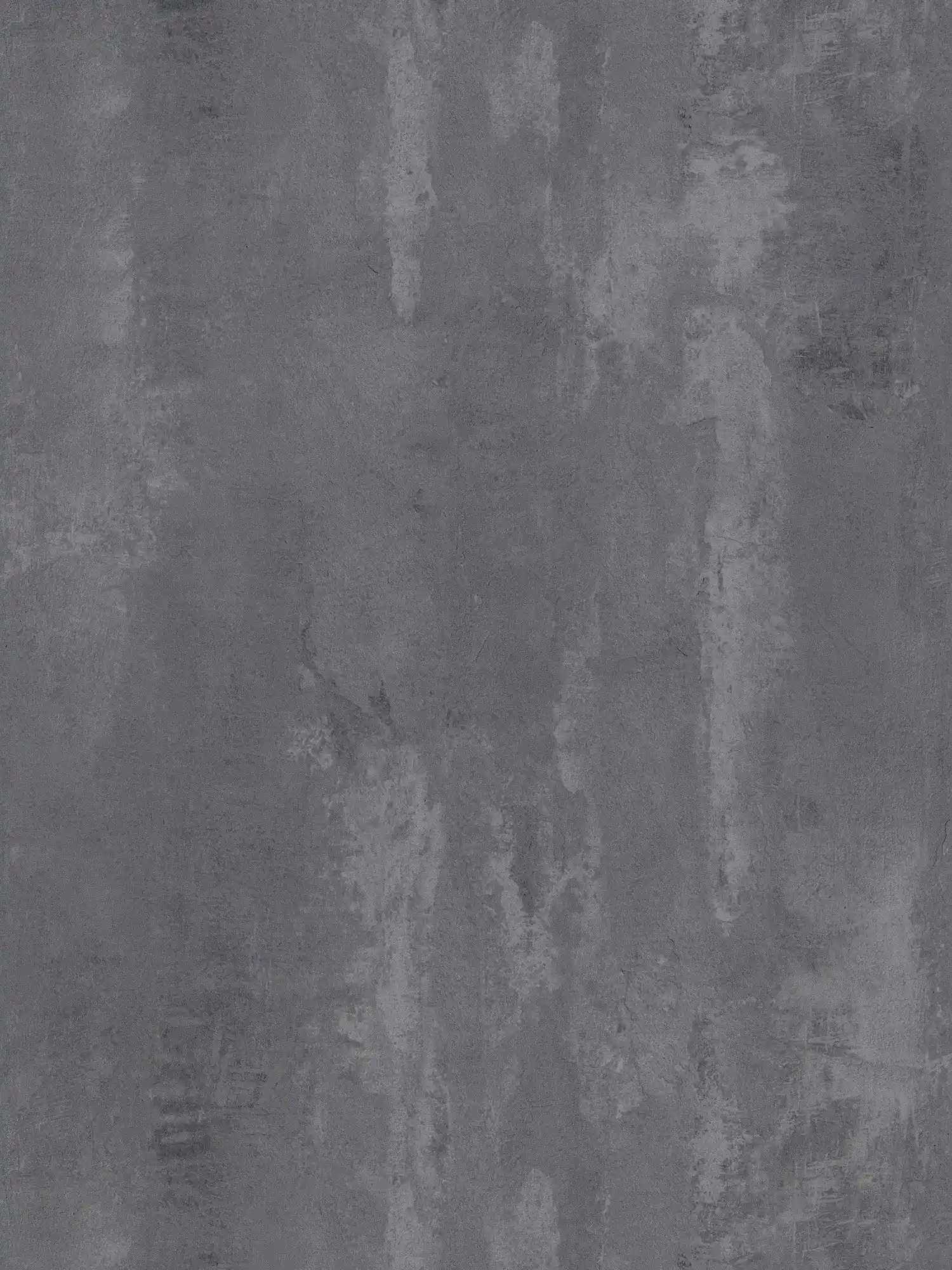         Carta da parati in cemento scuro con motivi rustici e stile industriale - grigio
    
