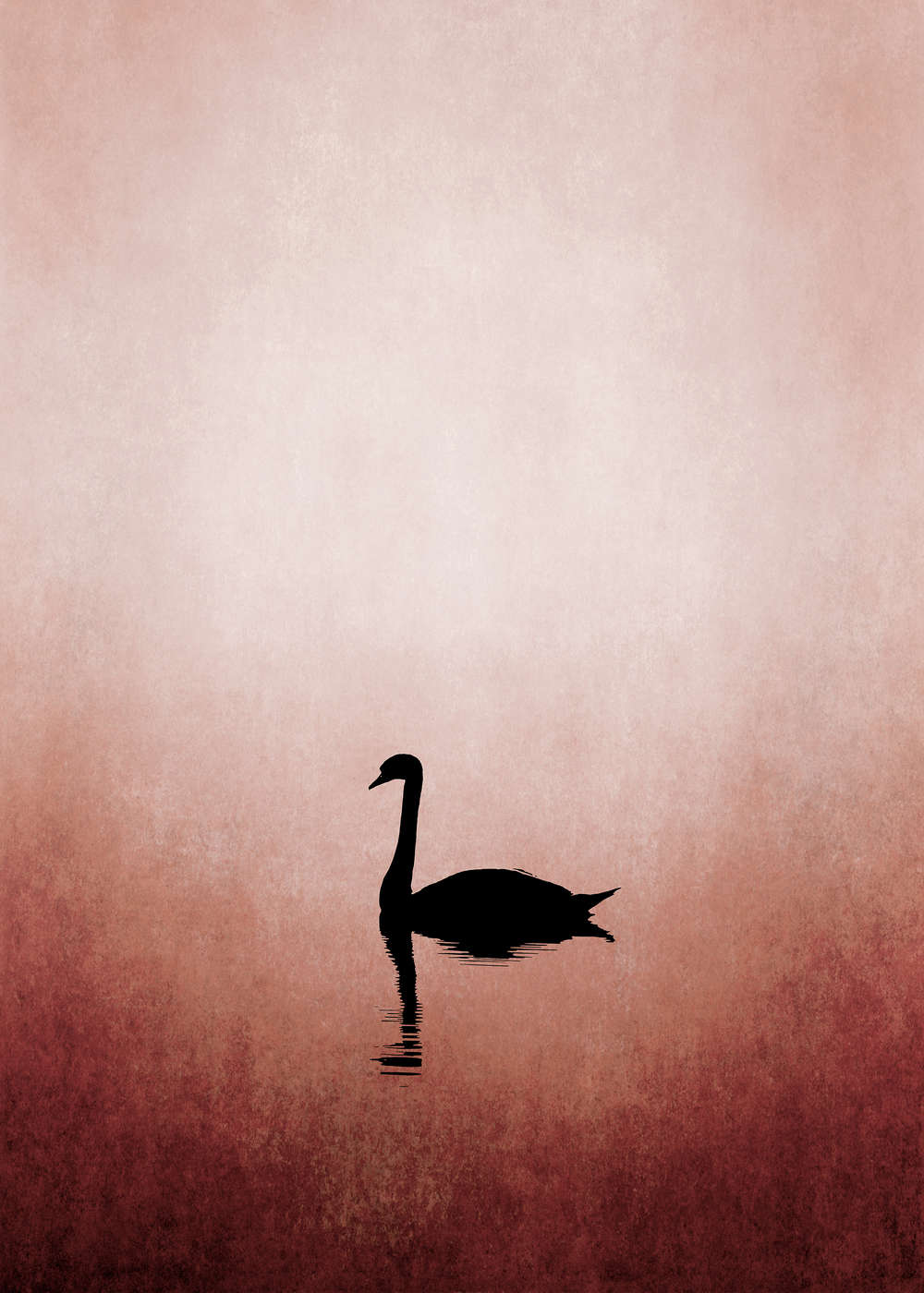             Photo wallpaper swan & lake in minimalist style
        