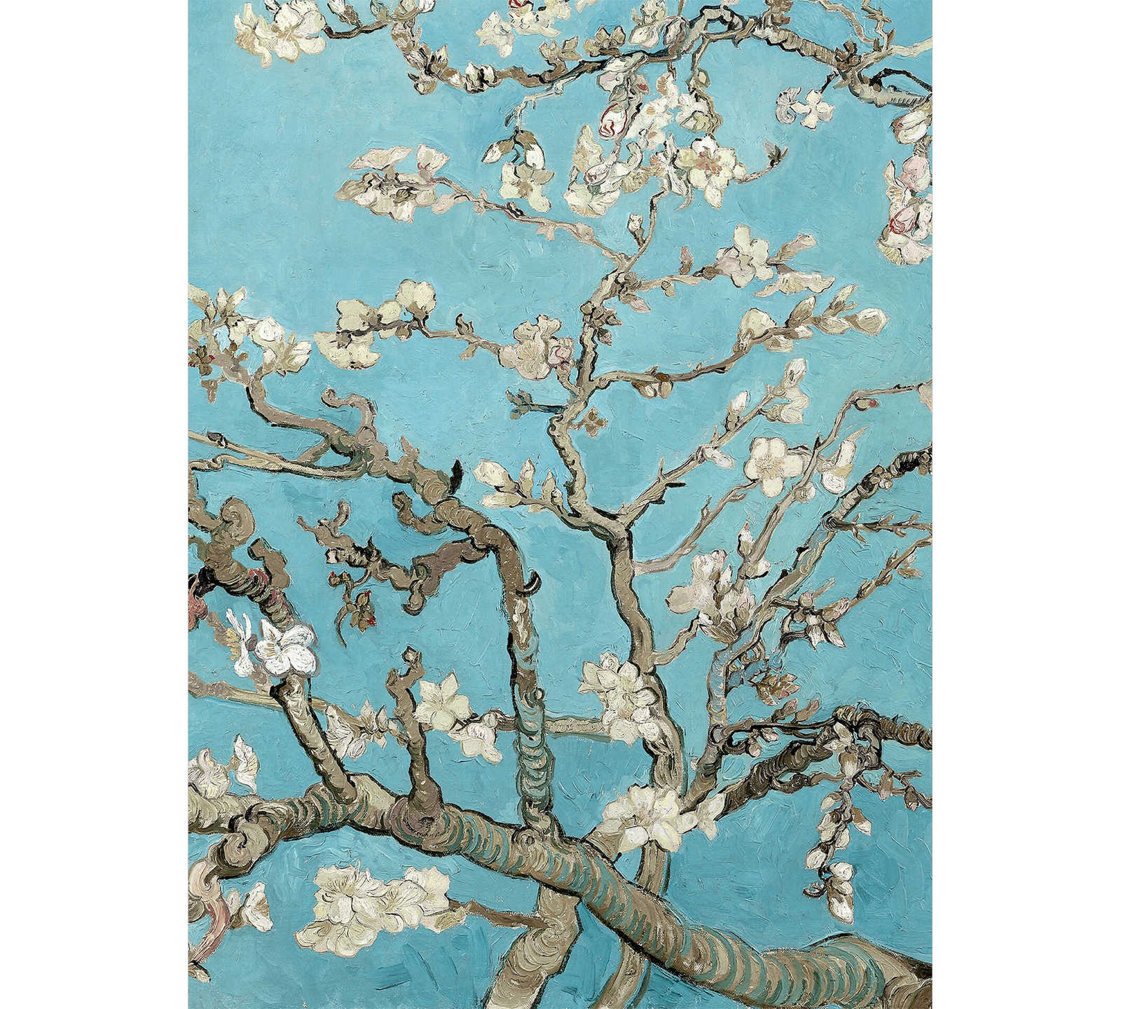         Narrow photo wallpaper almond blossom tree - Colorful
    