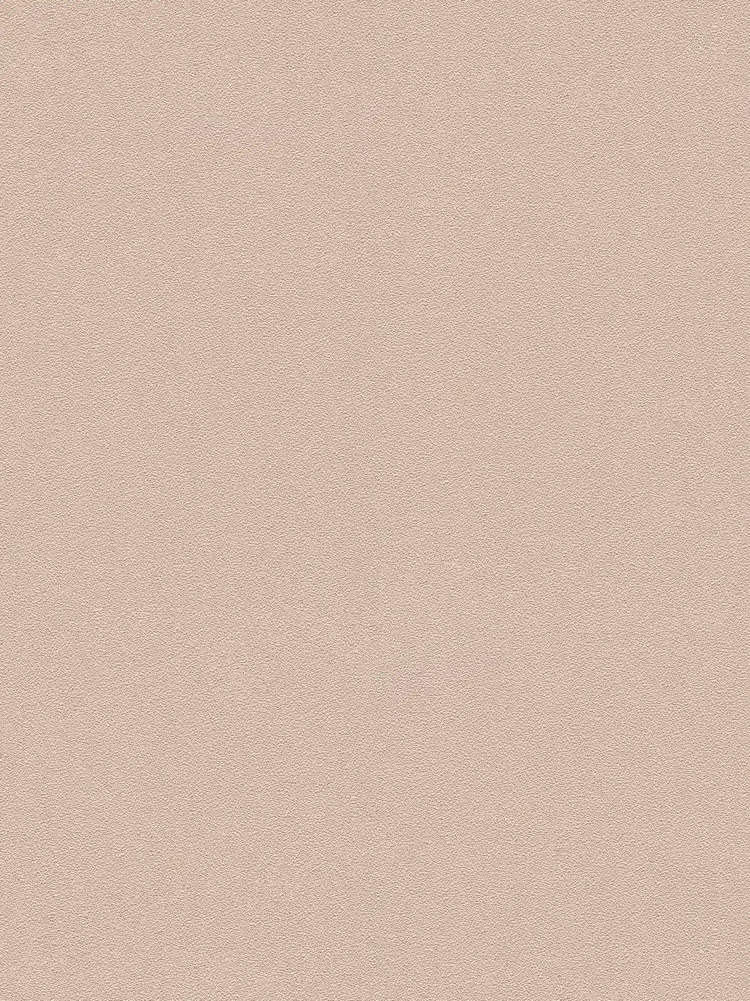 Plain wallpaper natural colour and texture pattern - brown

