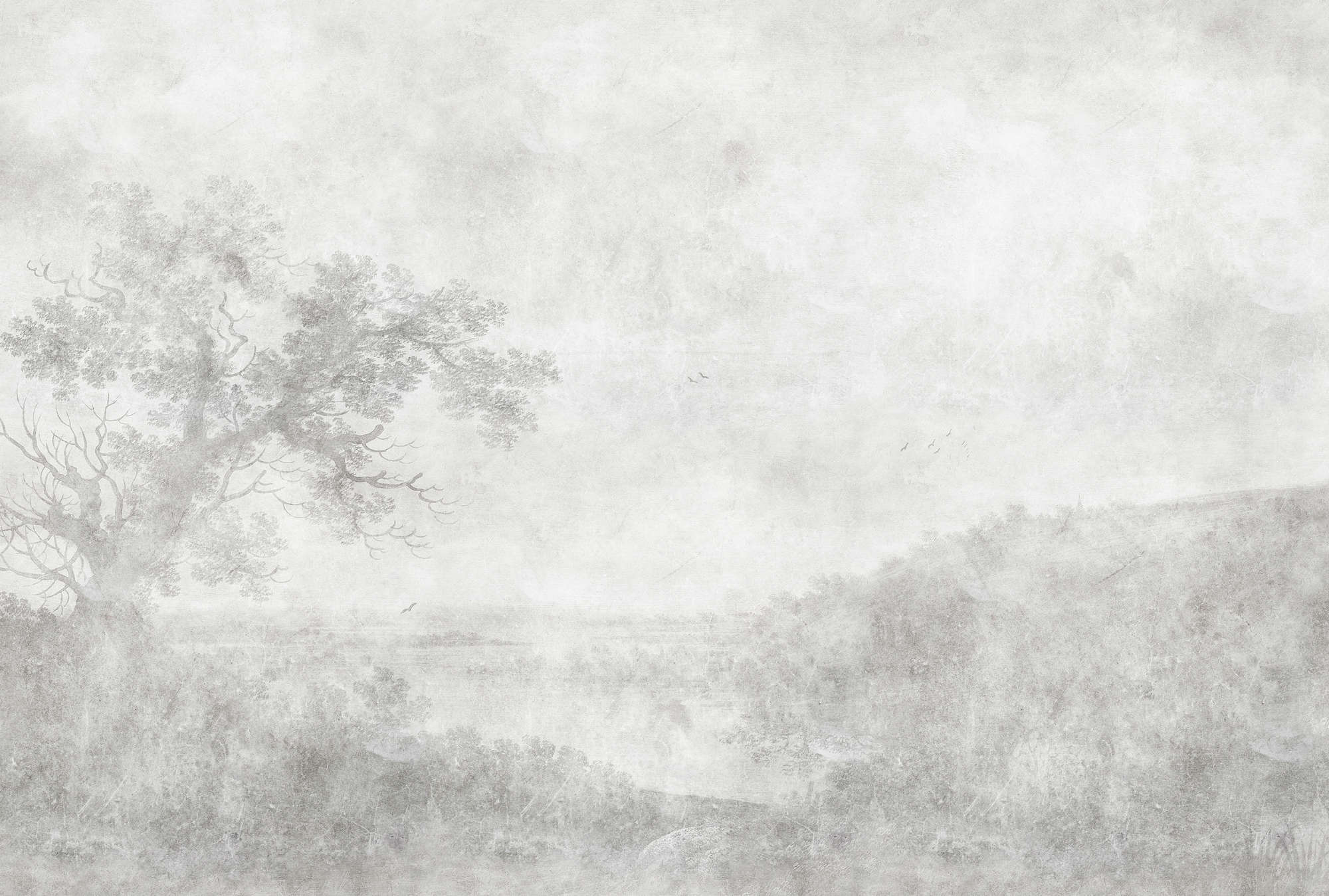             Romantic River 2 - papier peint vintage peinture noir et blanc
        