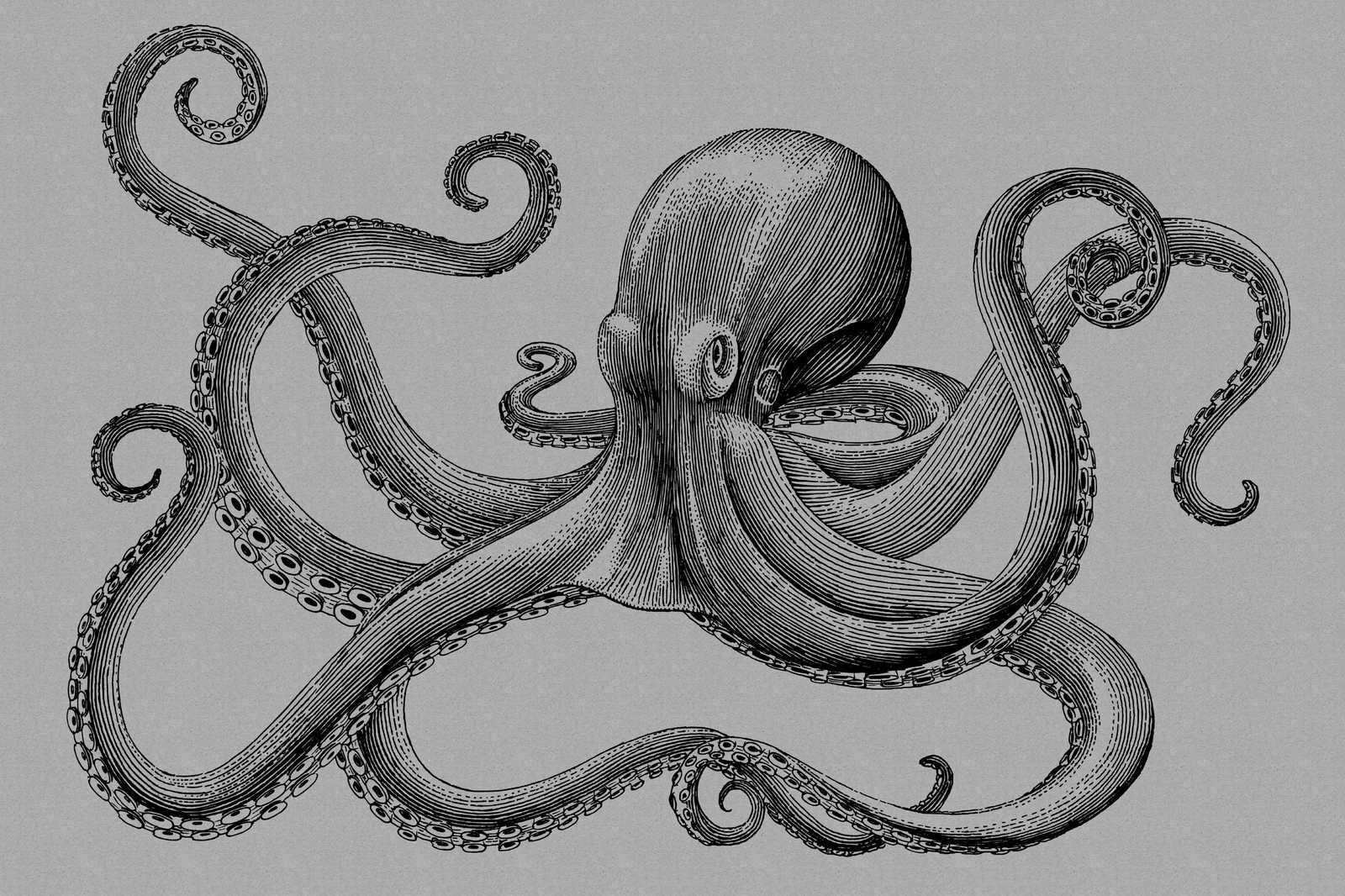             Jules 2 - modern octopus canvas picture in cardboard structure in drawing style - 0.90 m x 0.60 m
        
