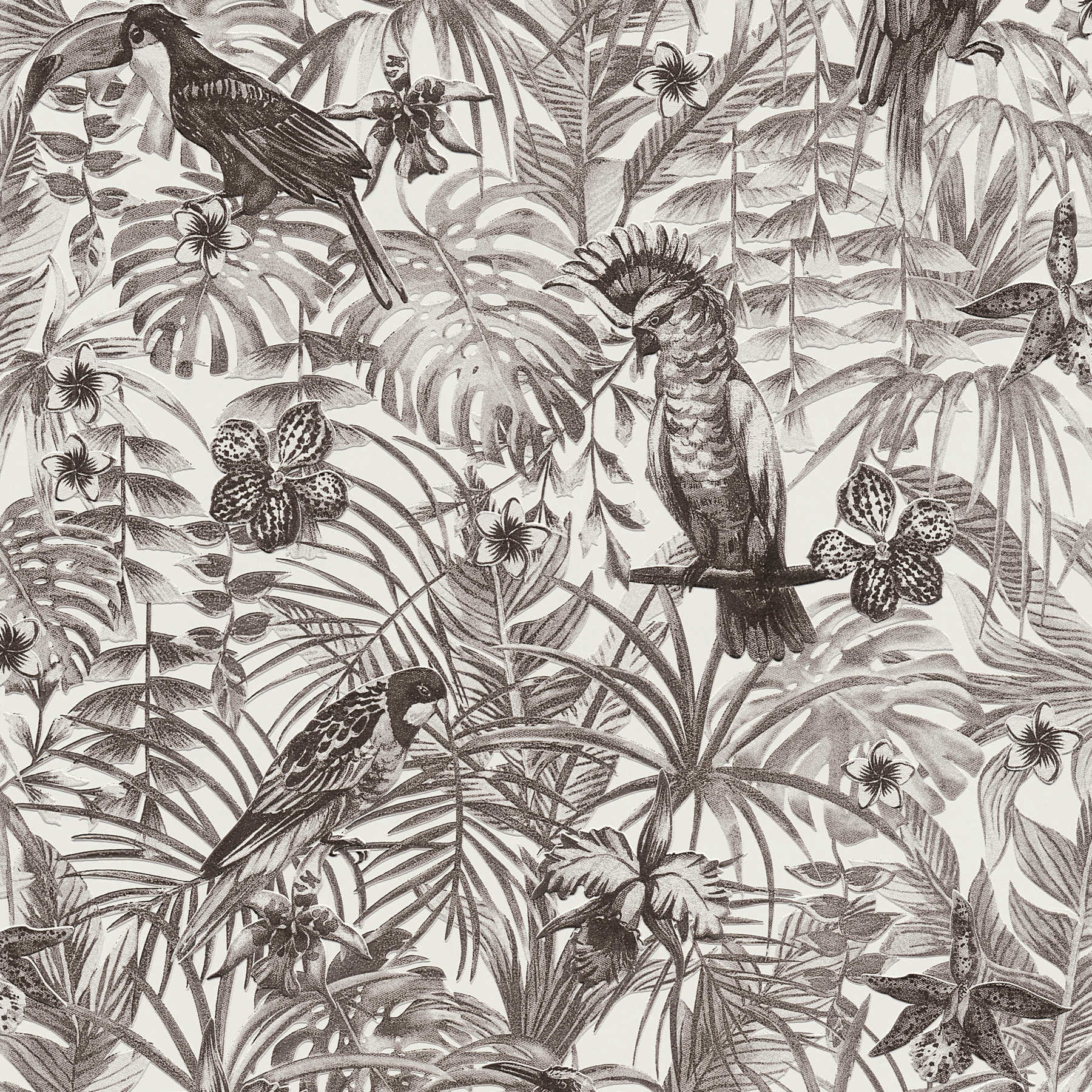 Papier peint exotique oiseaux tropicaux, fleurs et feuilles - noir, blanc, gris

