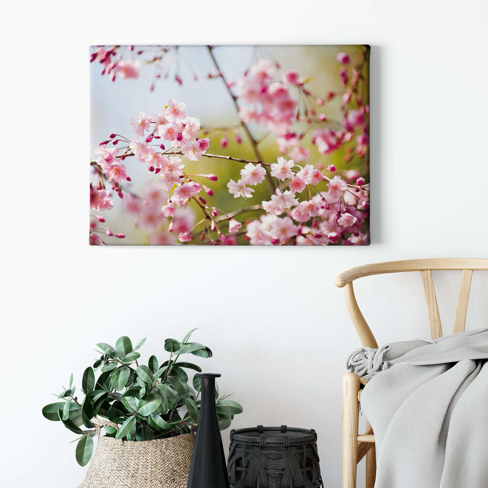             Pittura su tela naturale con motivo di fiori di ciliegio - 0,70 m x 0,50 m
        