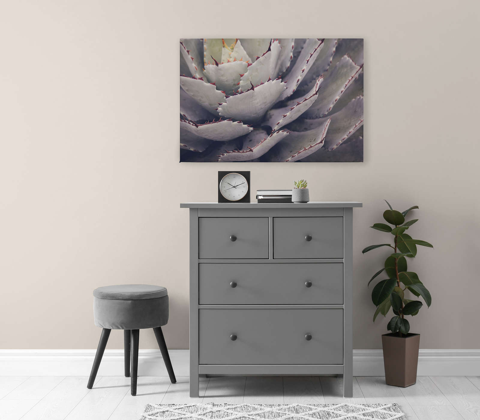             Cuadro en lienzo con primer plano de un cactus - 0,90 m x 0,60 m
        