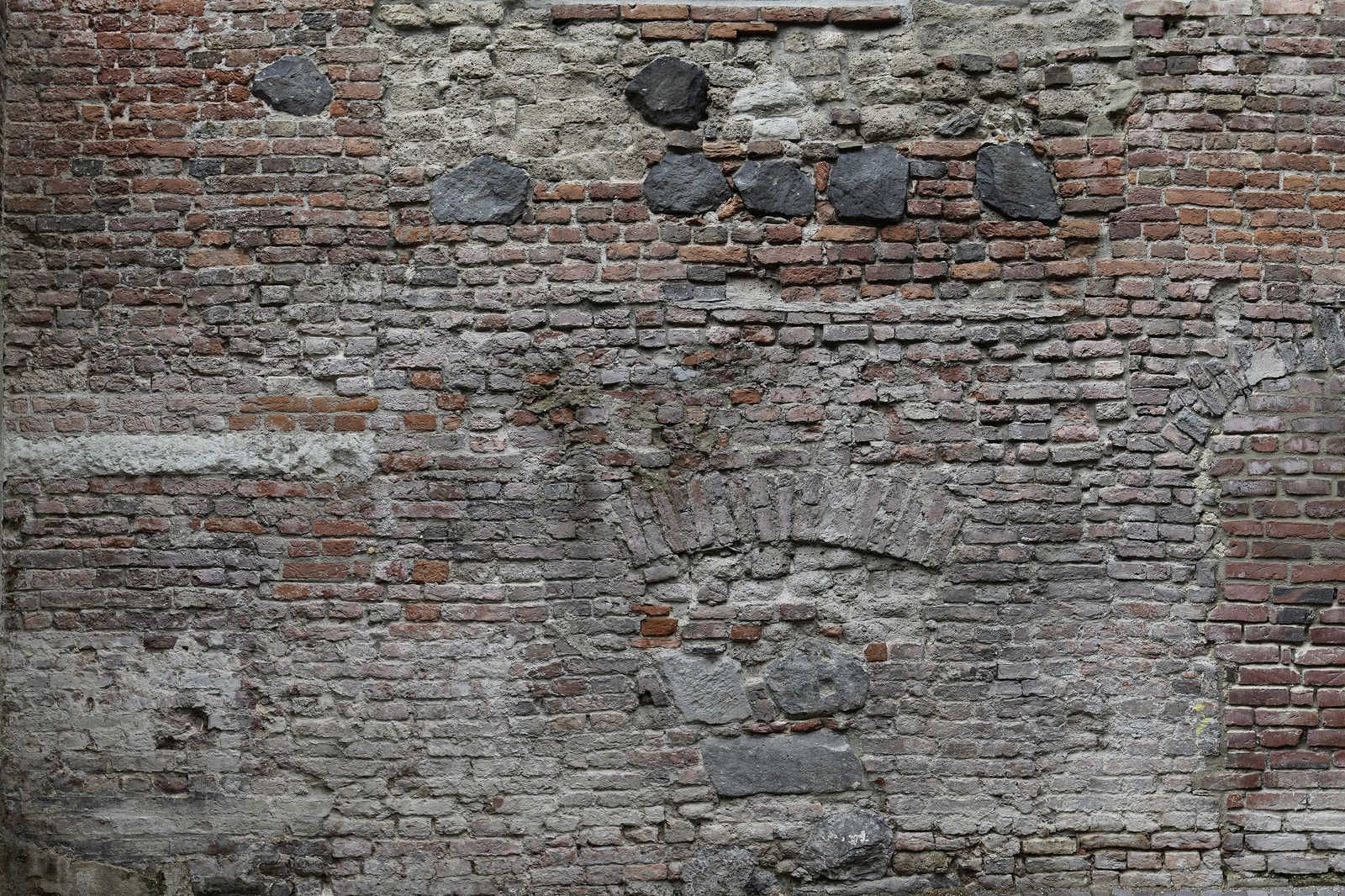             Mur de briques Toile 3D aspect rustique - 0,90 m x 0,60 m
        